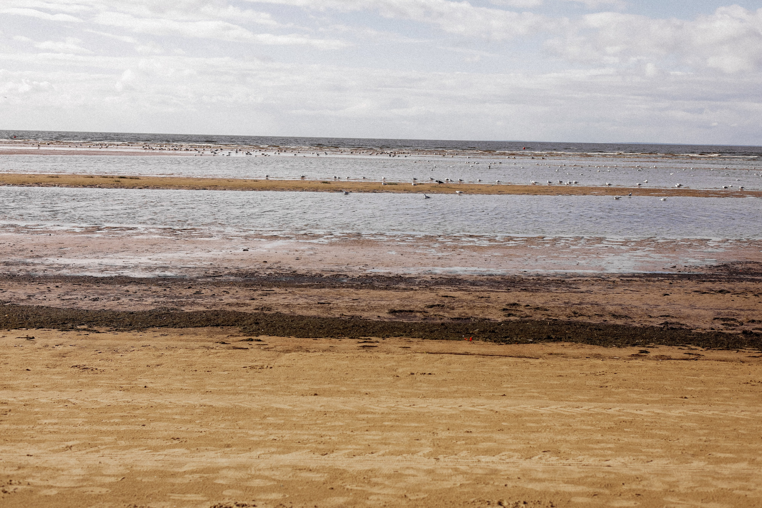 Паша и Света. Семейный свадебный фотограф Семен Егоров