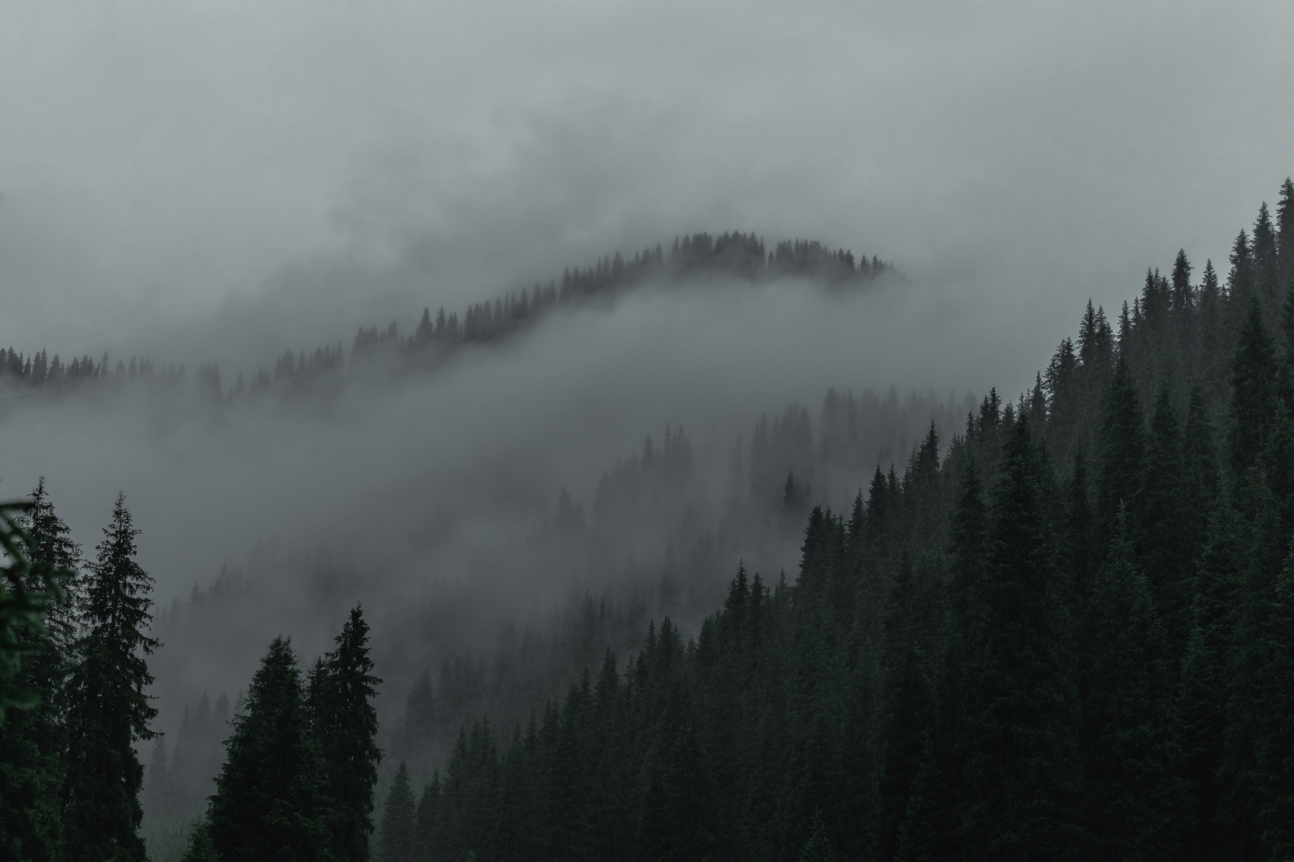 Жизнь. Фотограф Алматы | Весь мир — Никита Колодин