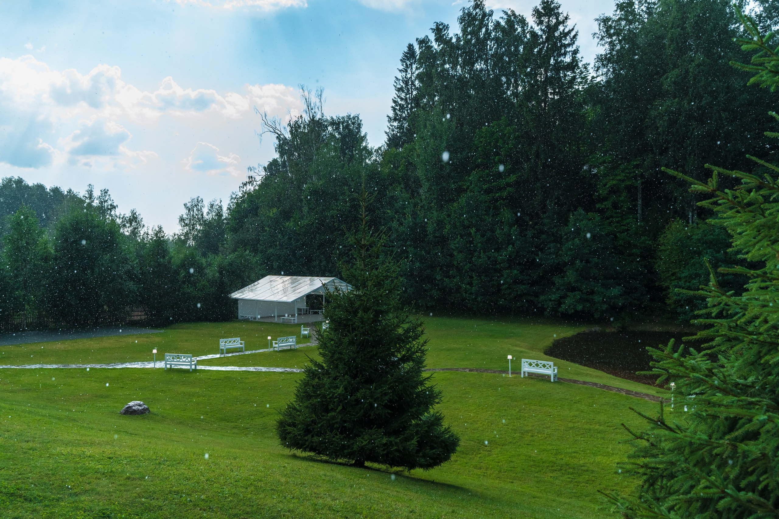 Александр + Диана