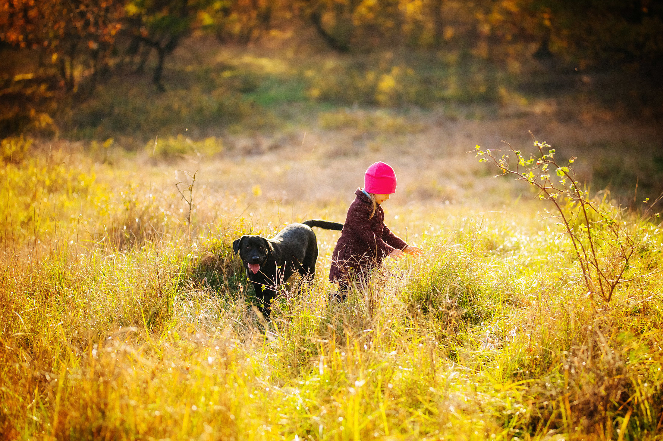 Снимаю с душой! Фотограф Ломакина Юлия. Анапа. 89618282827. Семейный, детский, свадебный, фотограф в городе Анапа
