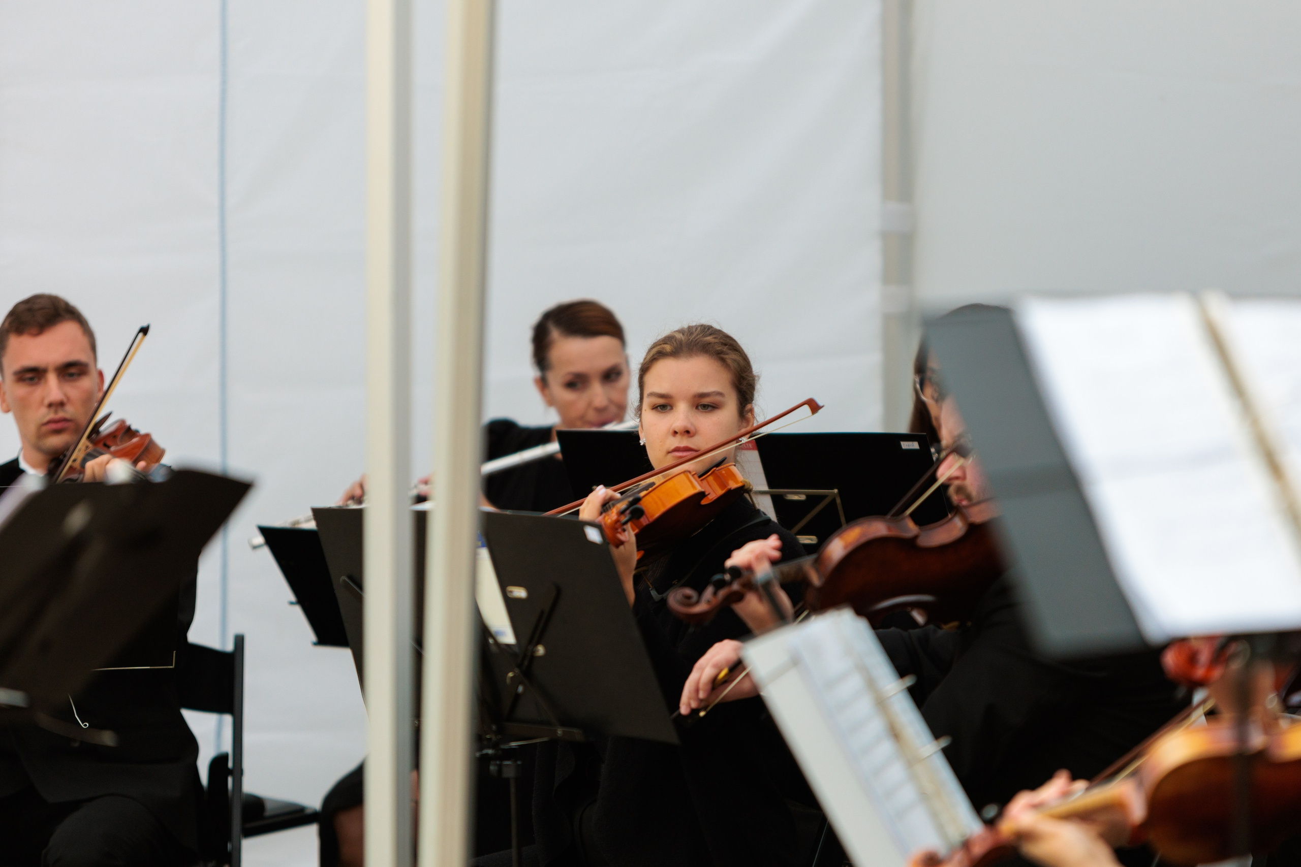 Концерт малого симфонического оркестра. Репортажный фотограф Санкт-Петербург | Роман Карбышев