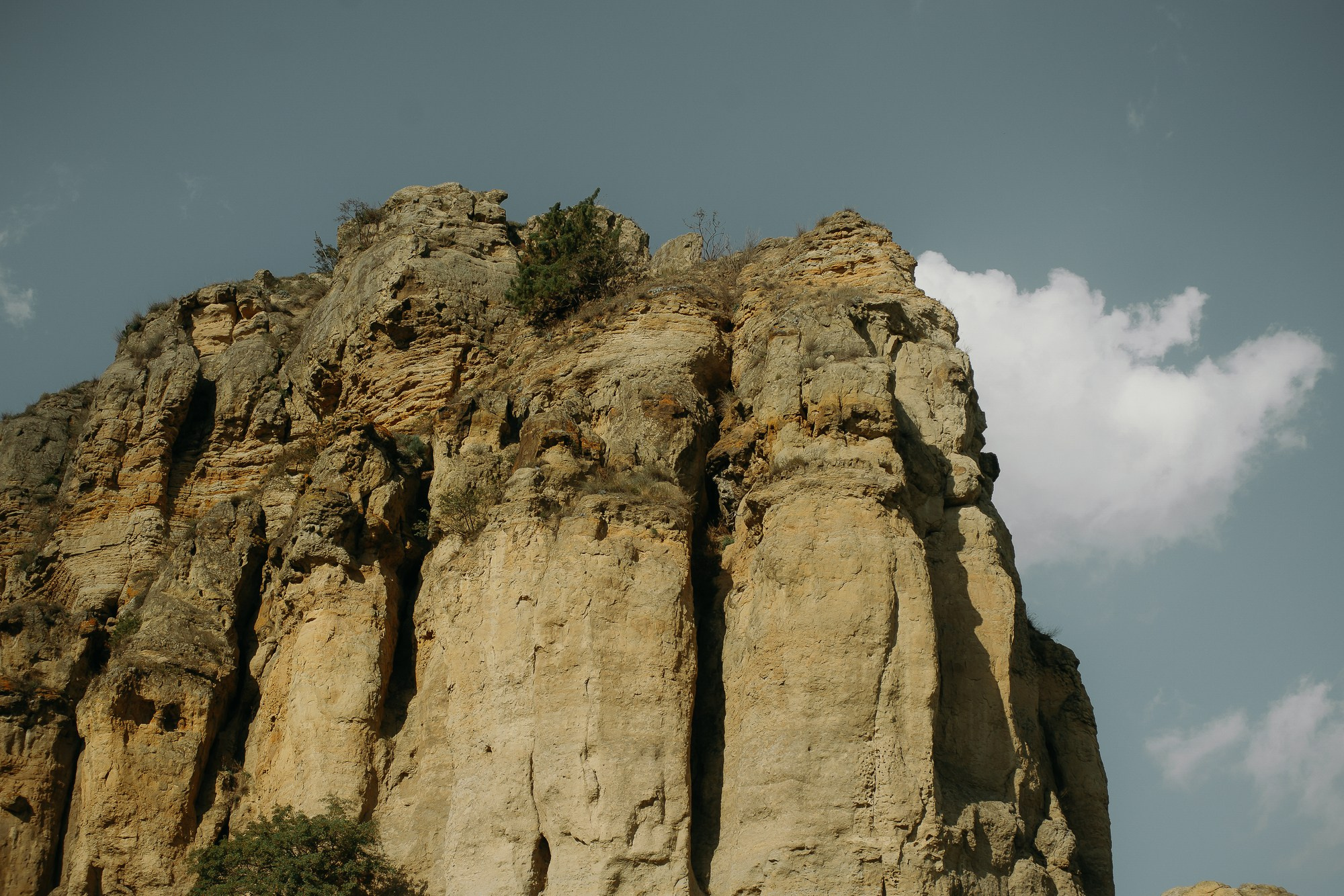 ДМИТРИЙ И АННА. Свадебный фотограф в Ставрополе Сергей Шляхов