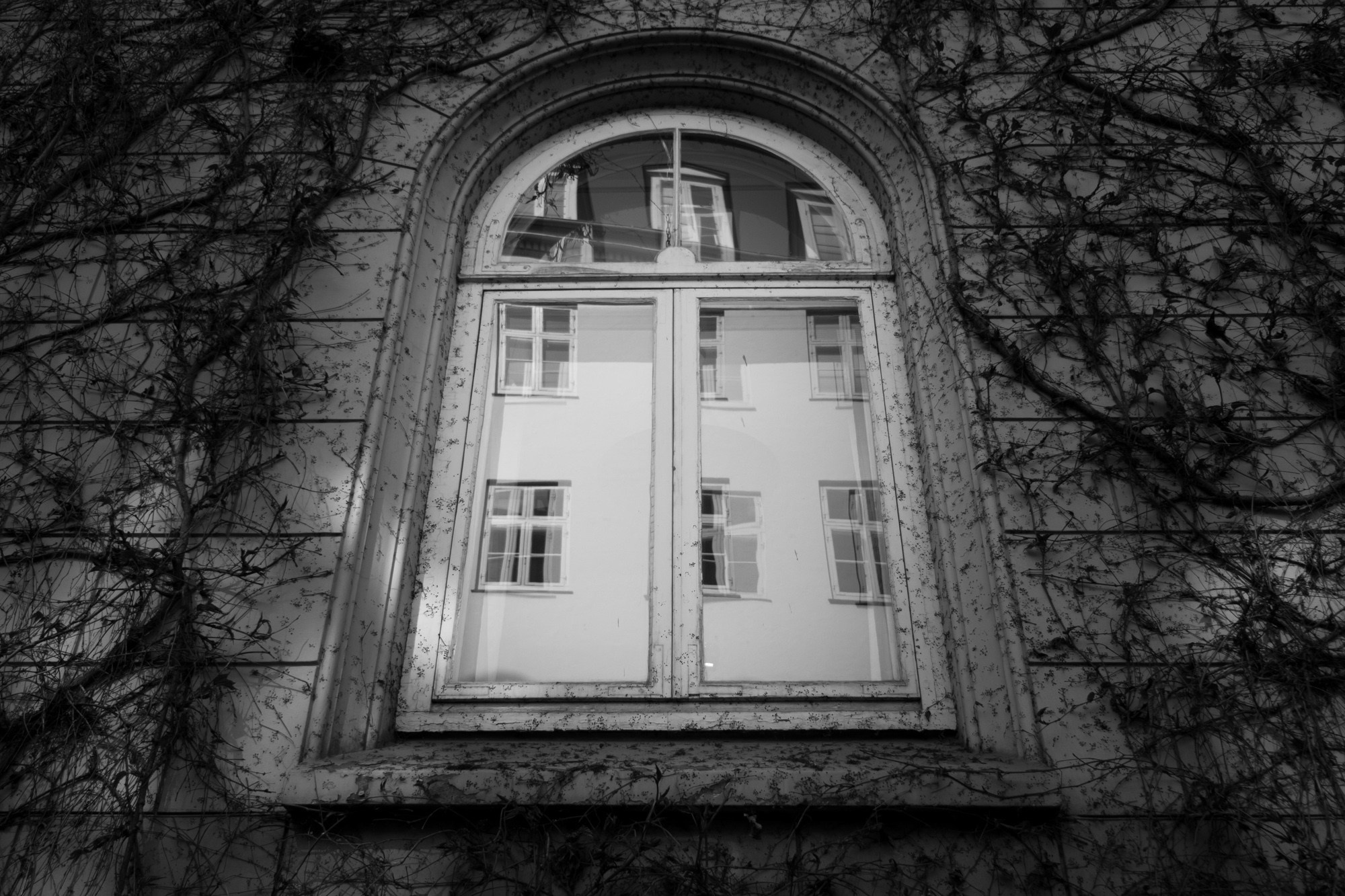 Дания, Копенгаген (Denmark, Copenhagen). Фотограф Алексей Скоробогатько