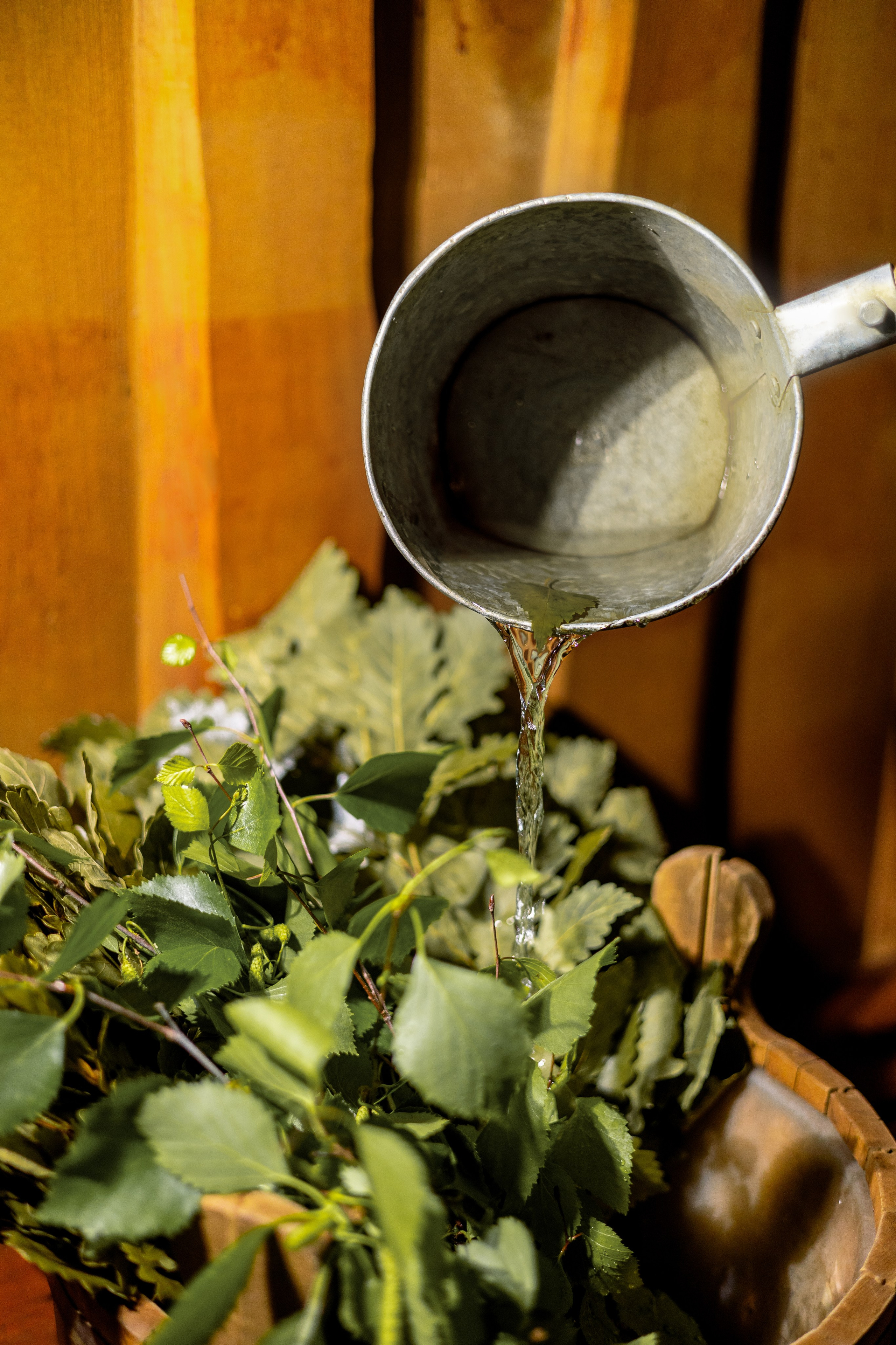 Индивидуальная фотосессия. Елена. Фотограф Самойлова Анна Архангельск, Северодвинск