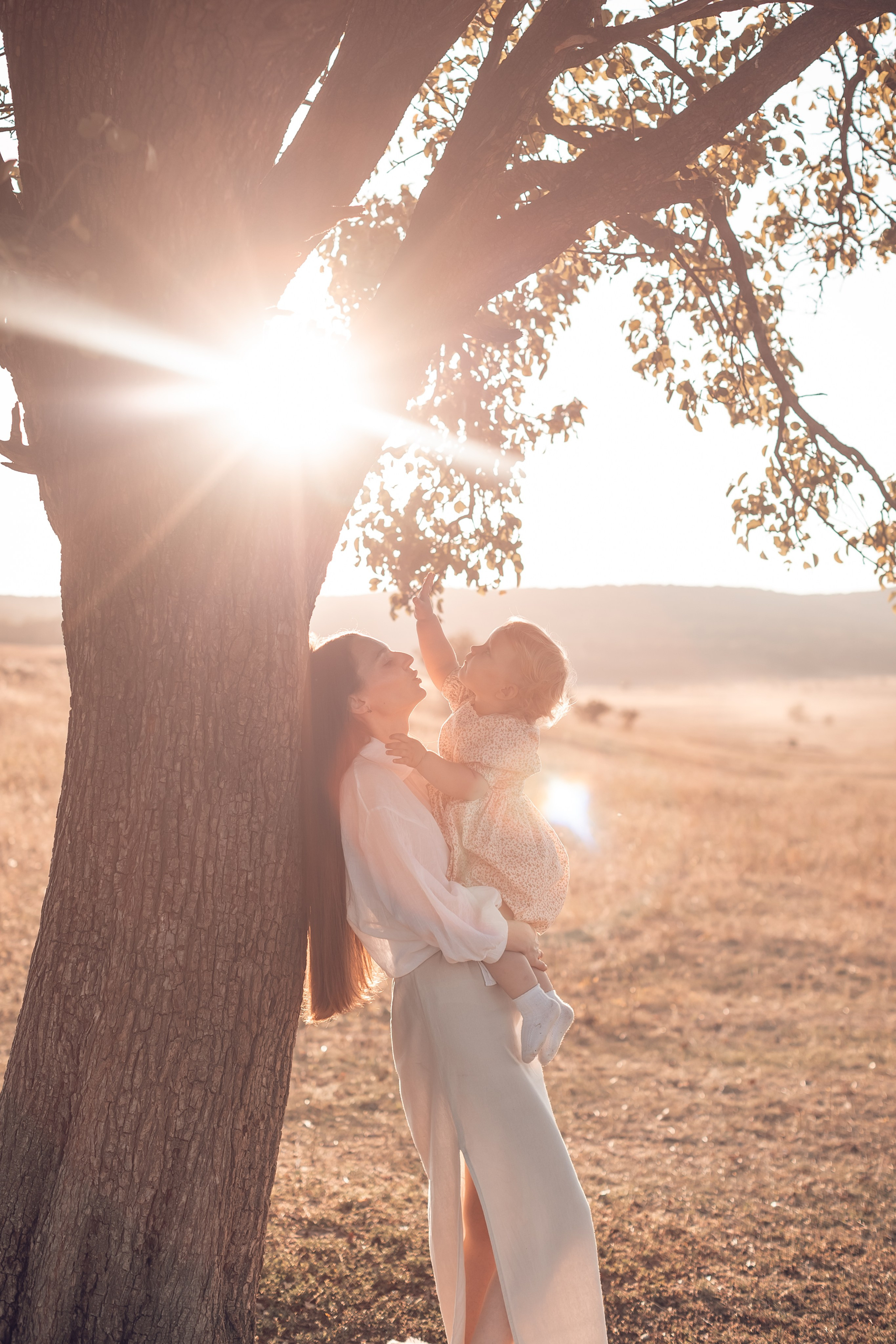 Золотой час. Главная