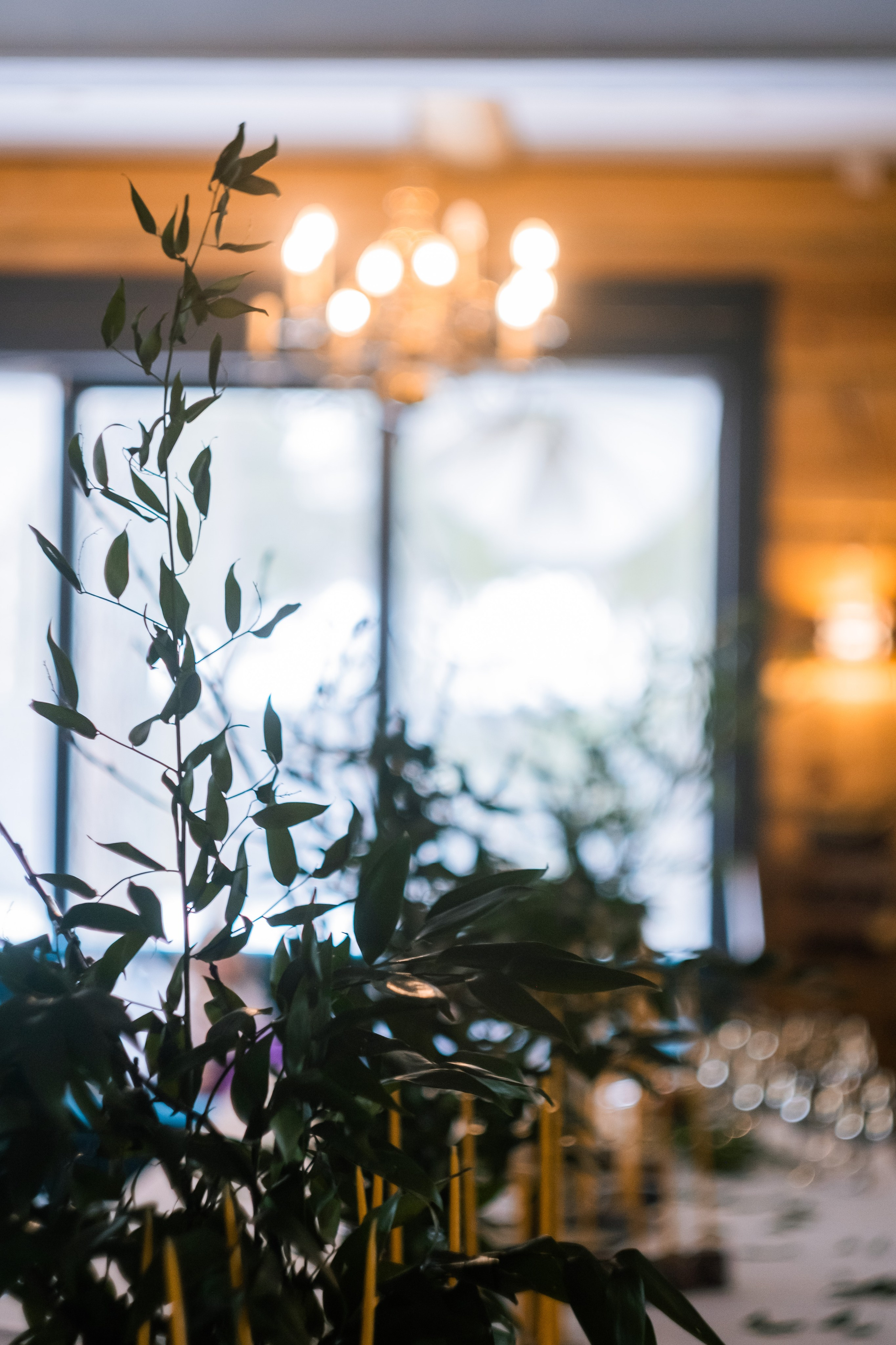 Семён и Алина. Мария Сигина-Лавданская