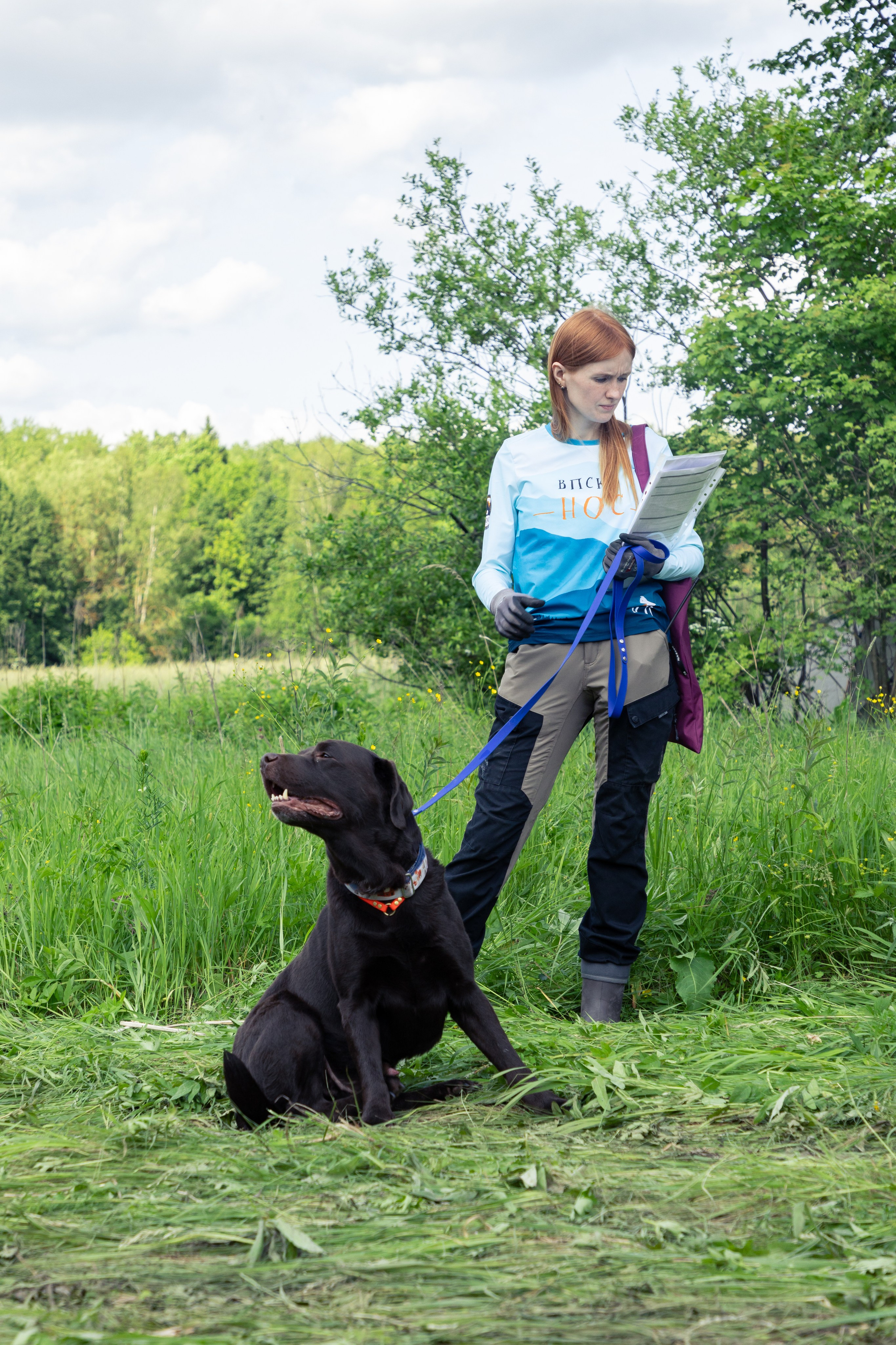 ДПСО «ЛизаАлерт». Главная