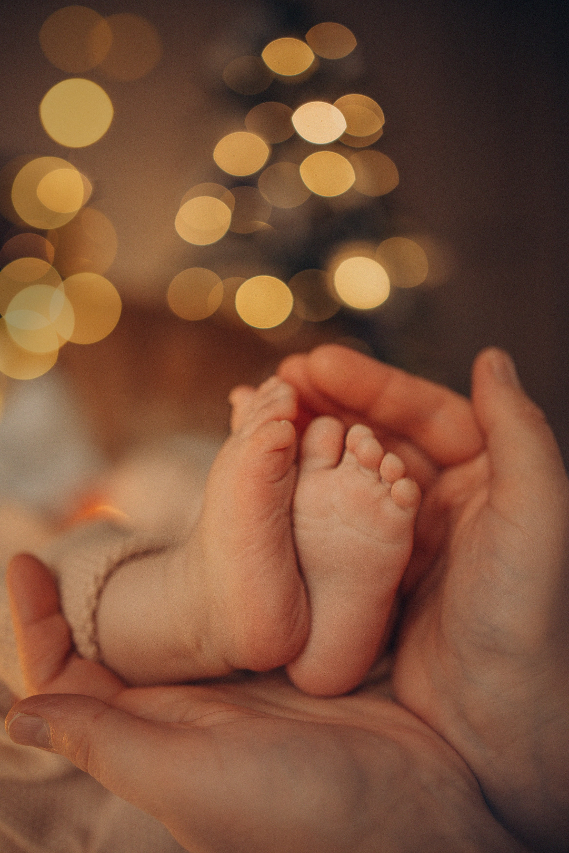 Домашняя фотосессия с новогодним настроением. Семейный и детский фотограф, женский портрет Москва Светлана Мертикова