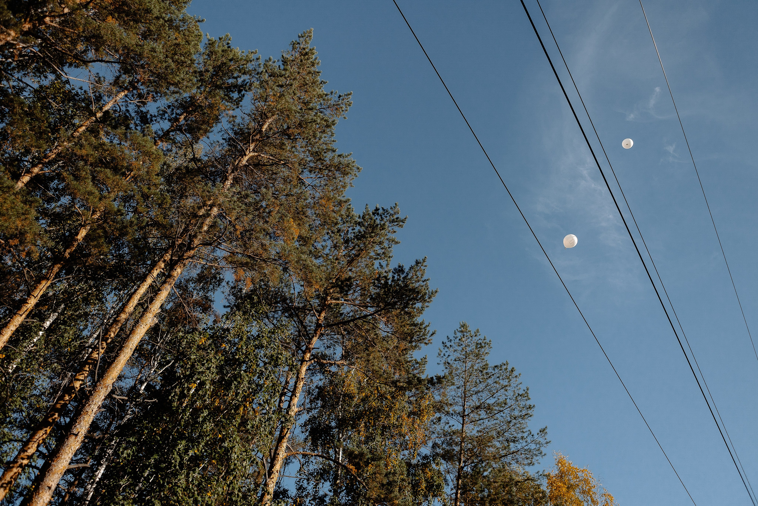 Виктория и Анатолий. Свадебный и семейный фотограф в Челябинске. Аврамец Анна