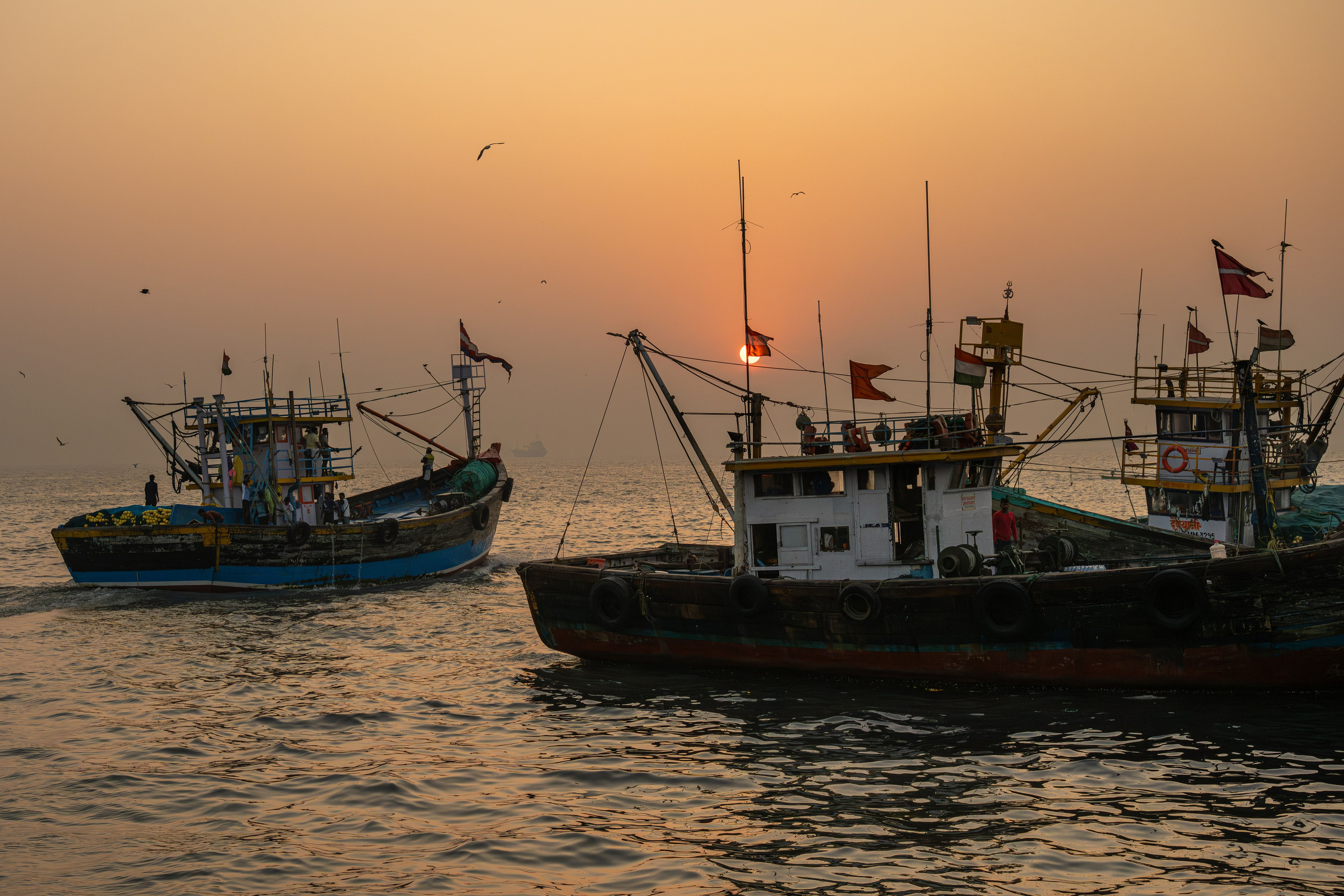 India 2024-2025. Dimitri Bakhtadze photographer