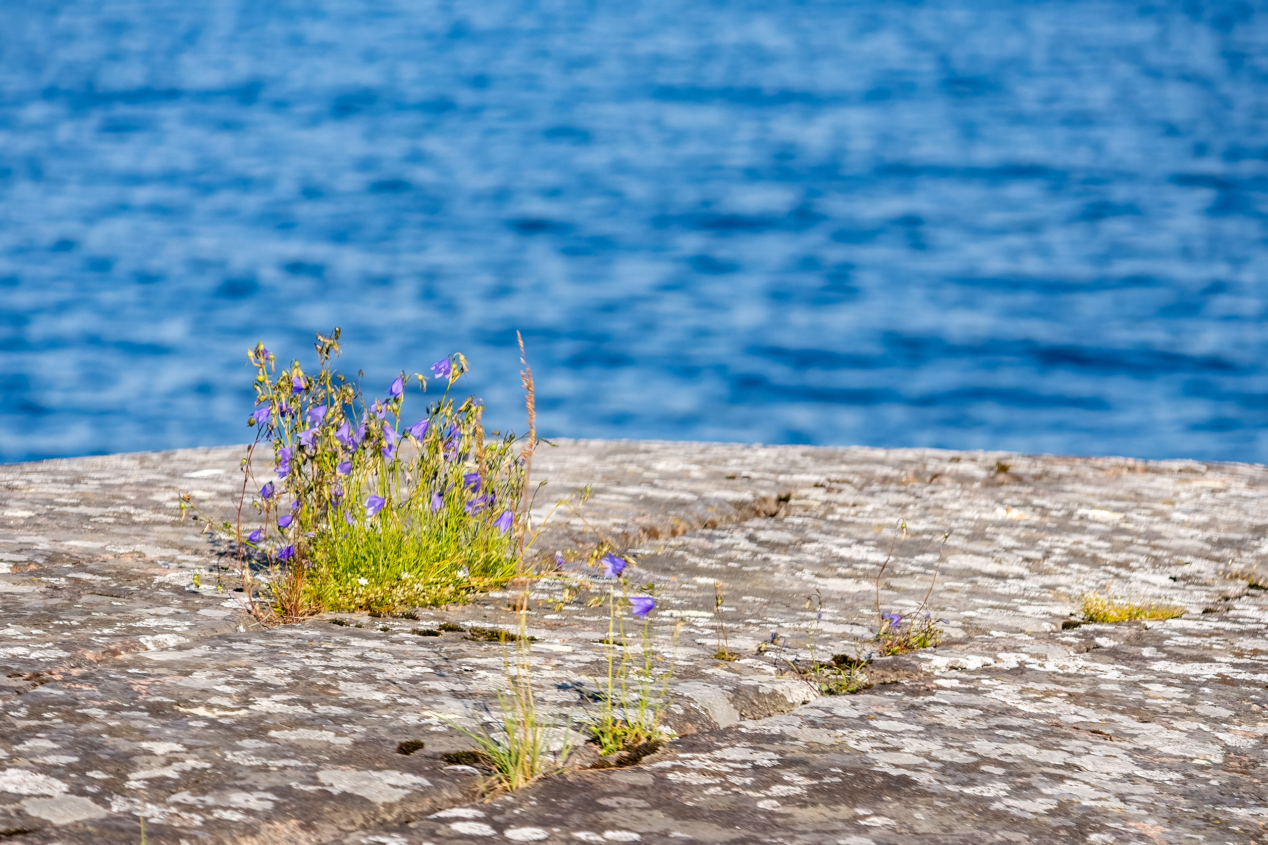 Ладожское озеро. Аэросъемка. Фото и Видео в Карелии. Алексей Фрилунд