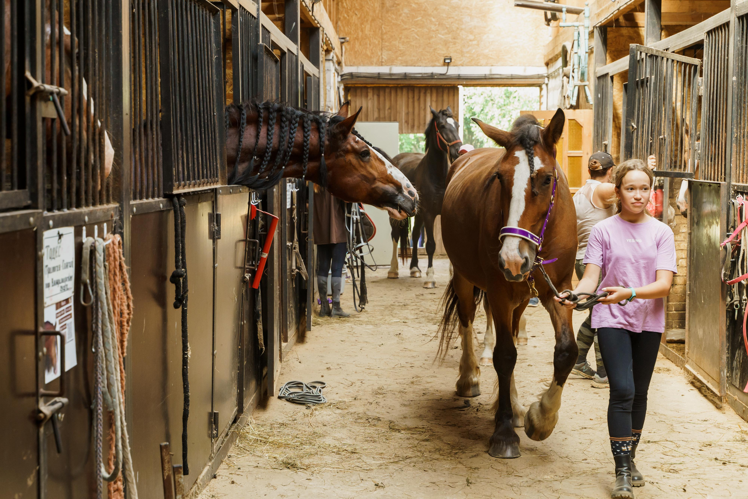 Репортажная съемка мероприятия. Фотограф Анастасия Арланцева