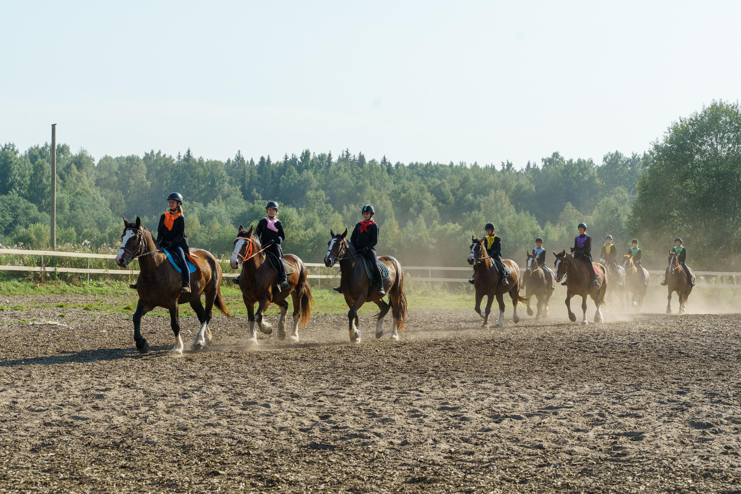 Репортажная съемка мероприятия. Фотограф Анастасия Арланцева