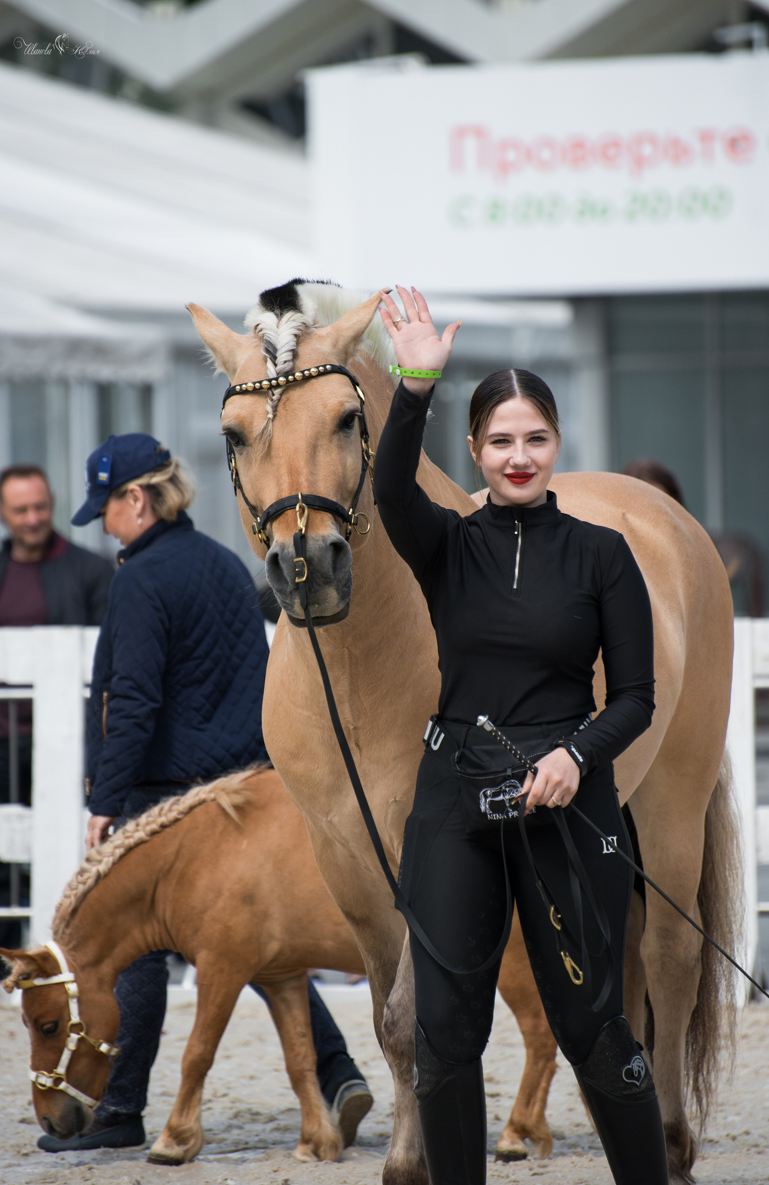 Эквирос, Москва. Конный фотограф в Саратове Юлия Иванова