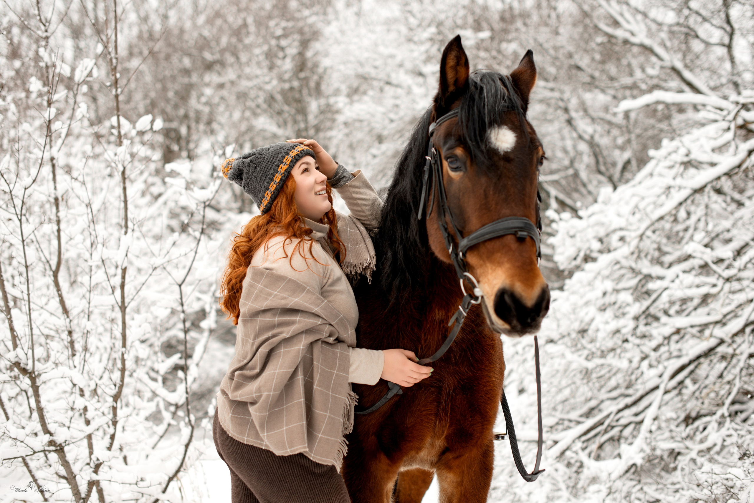Елизавета и Холмогор. Конный фотограф в Саратове Юлия Иванова