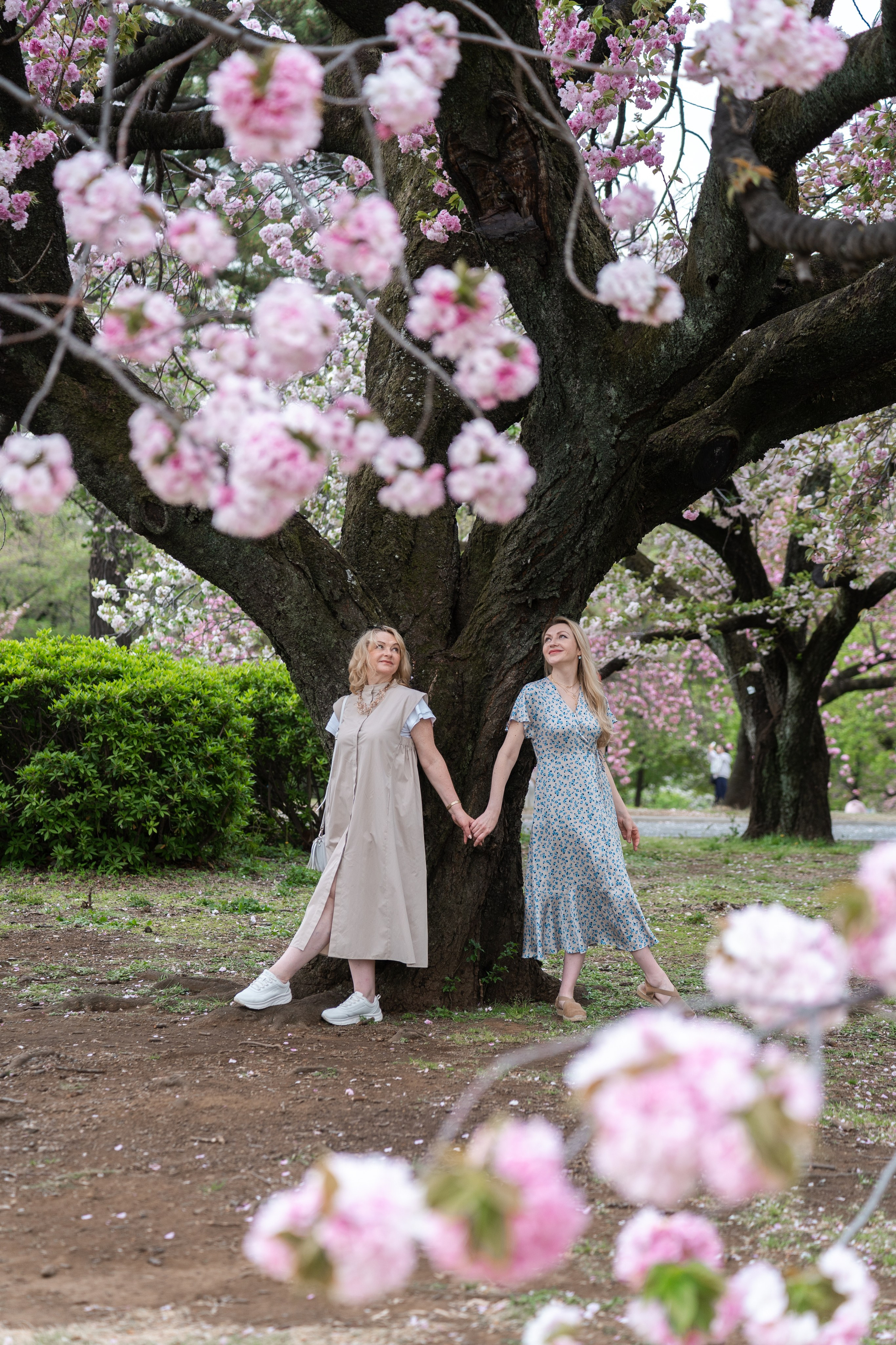 Sakura. Фотограф Алина Диева Москва | Токио