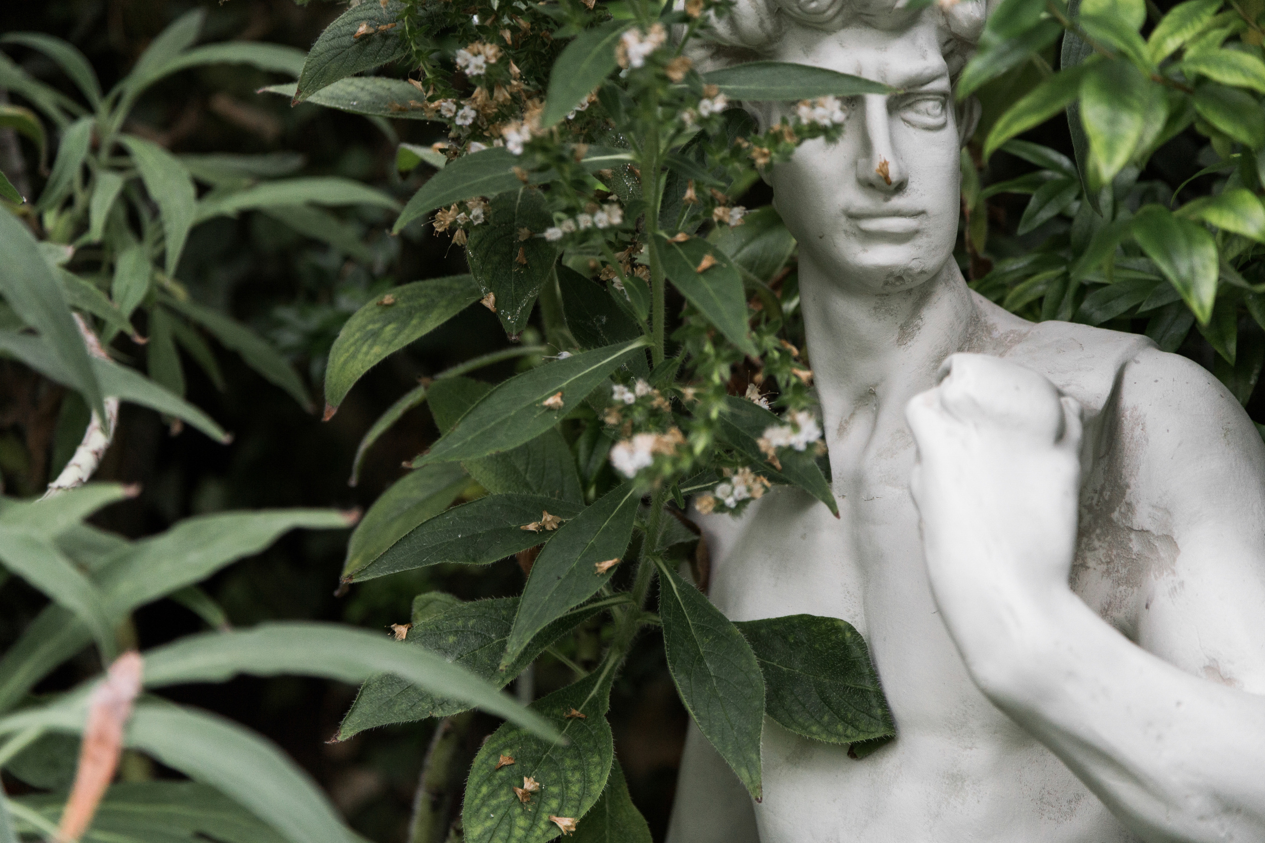 Диана и Александр