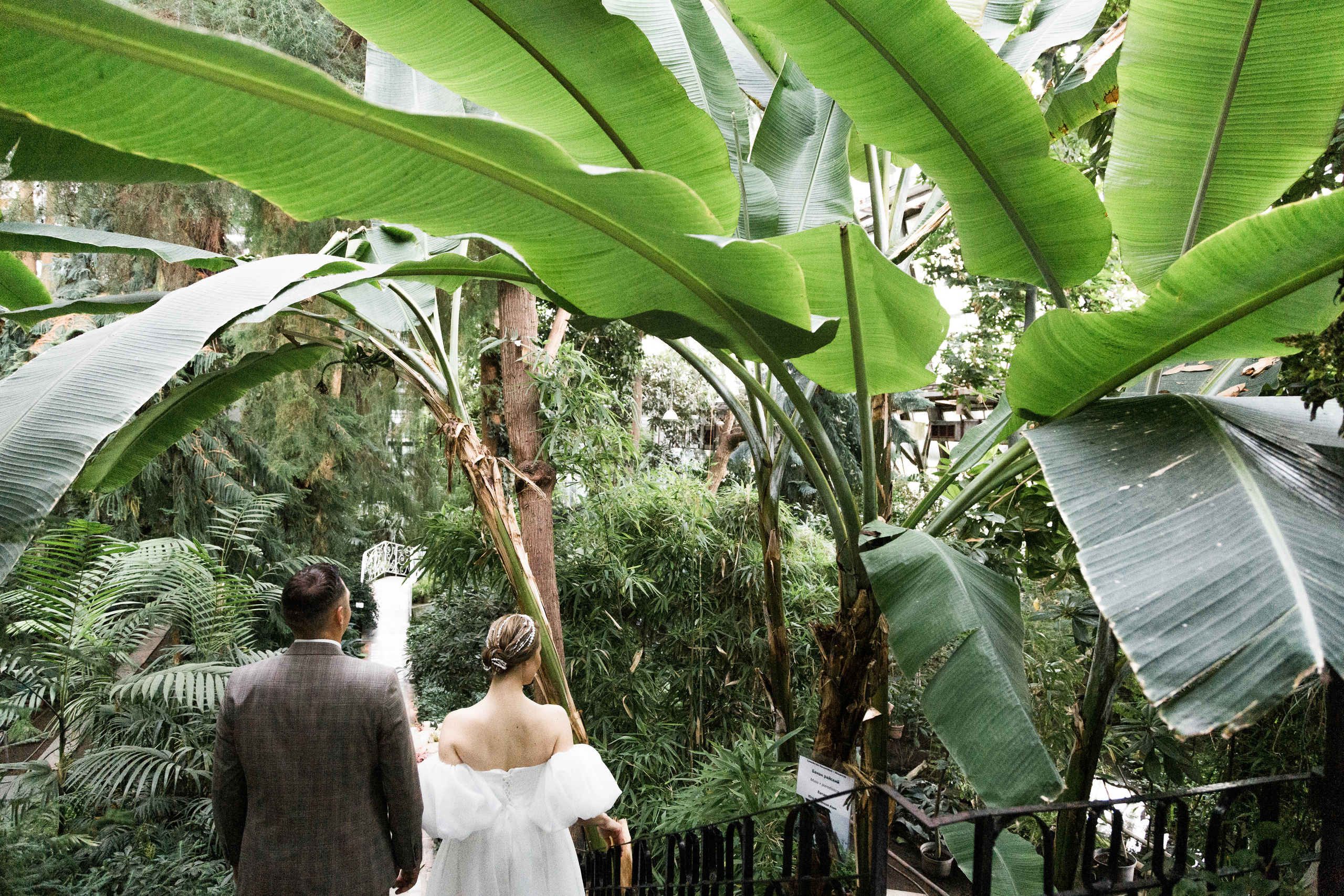 Диана и Александр