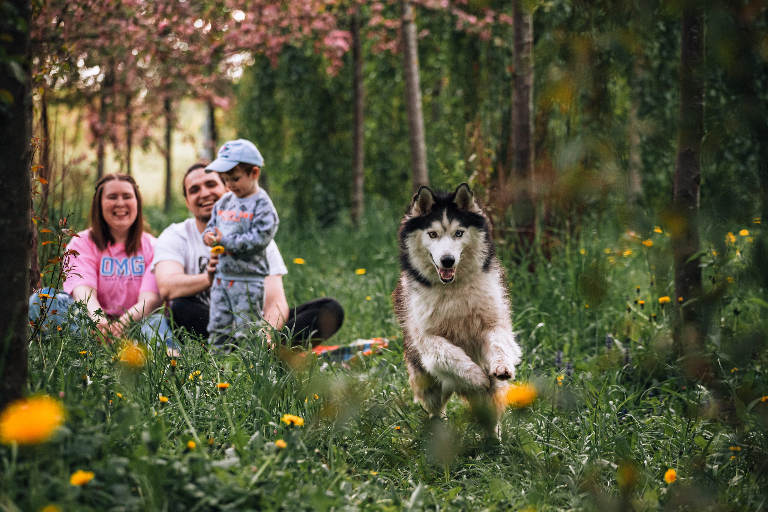 Семейная экспресс фотосессия в рамках фотодня. Фотограф-анималист Татьяна Степанова