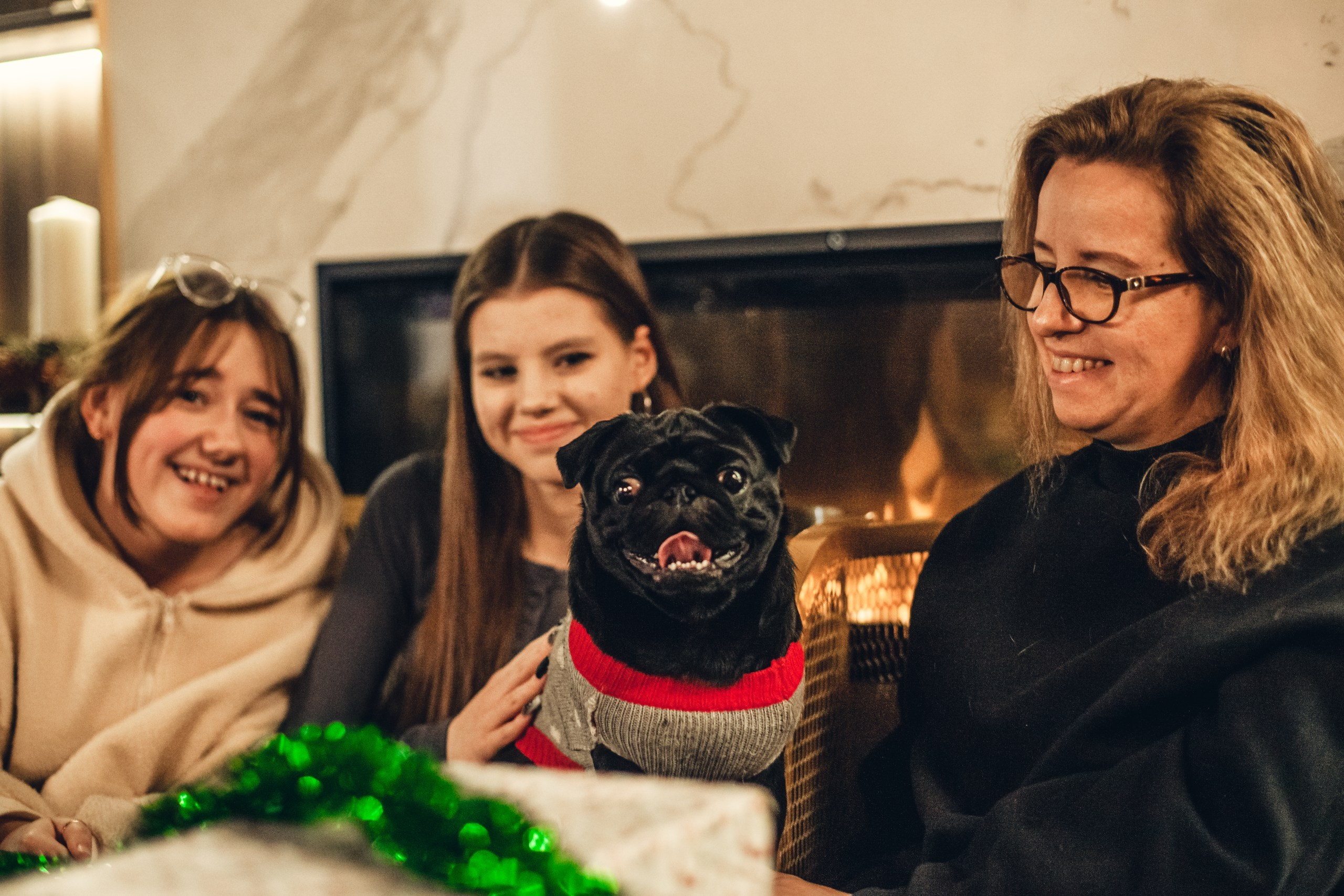 Мопсовстреча 02.12.2023. Фотограф-анималист Татьяна Степанова