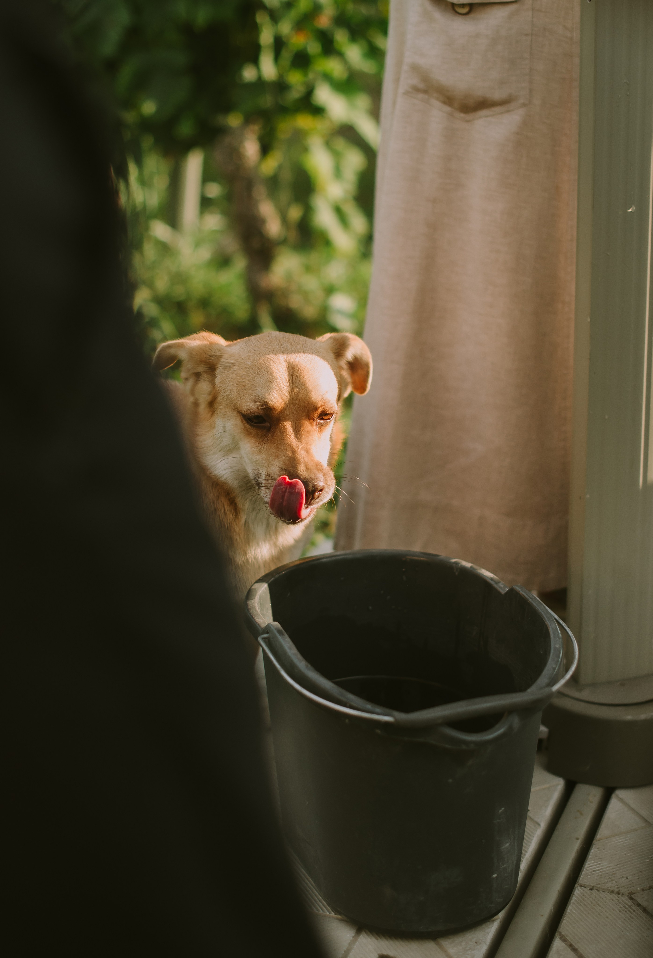 Влад и Настя (Виноделья Акчурина). Свадебный, женский, семейный фотограф в Севастополе Юлия Мошенко