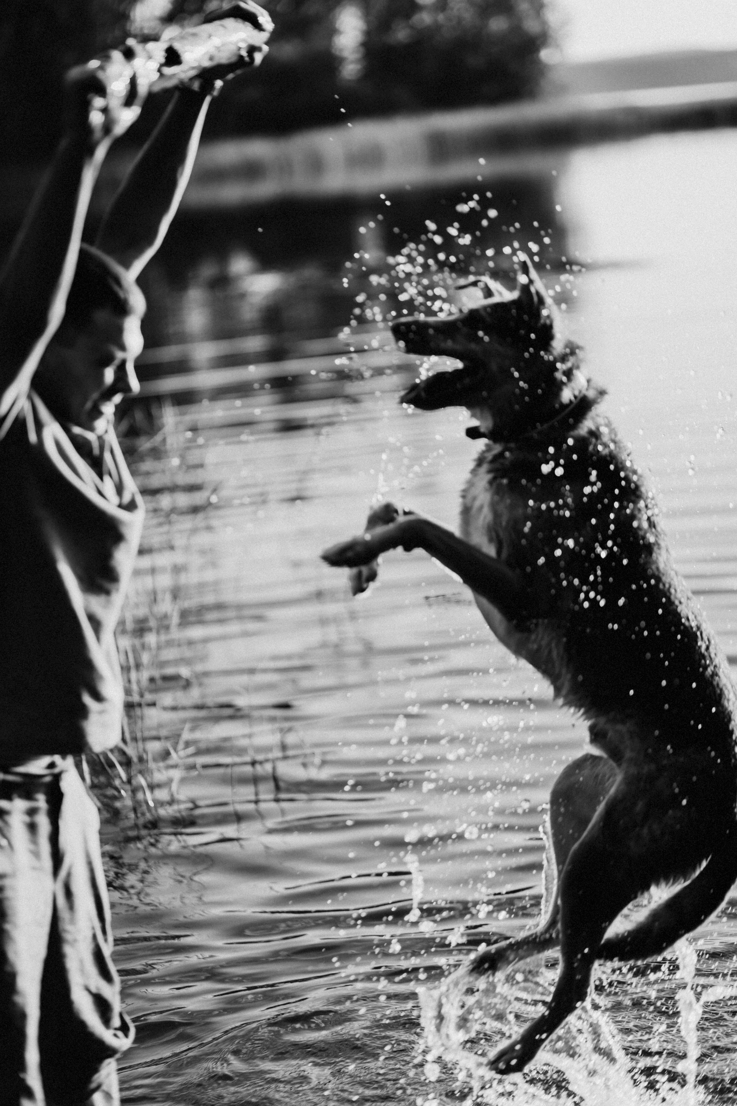 На странных берегах