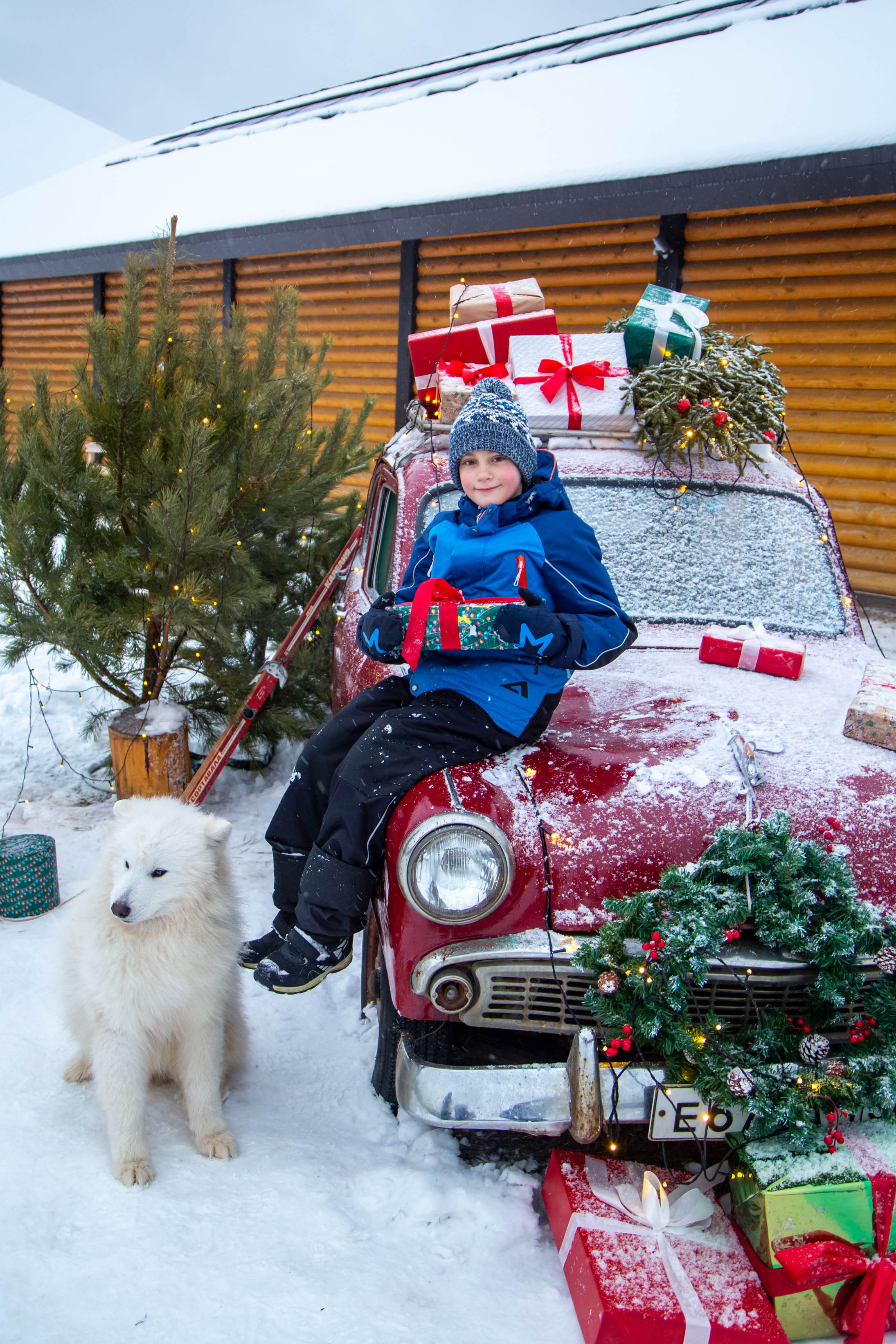 Новый год с собаками. Фотограф в Оренбурге Ксения Немира