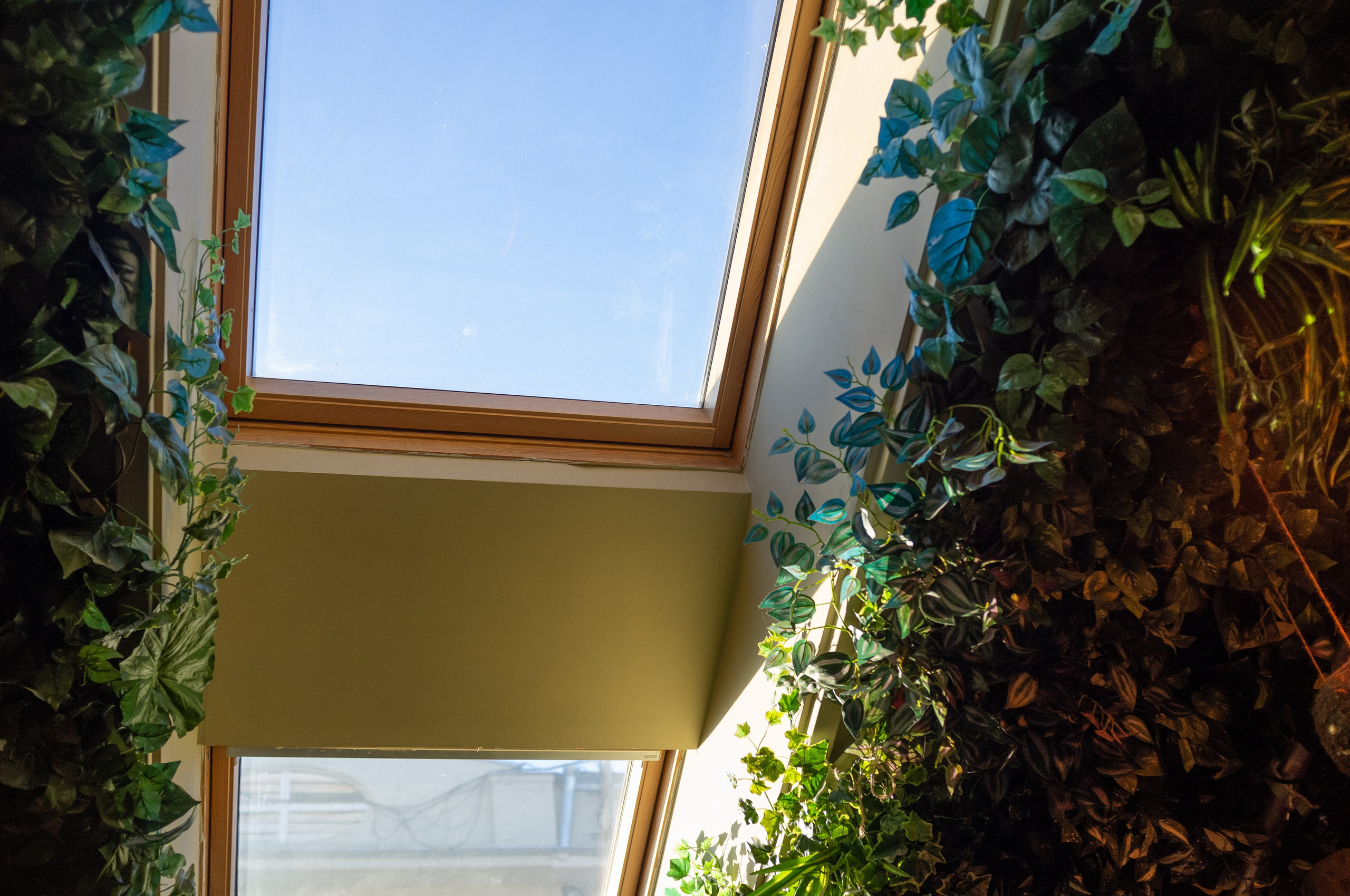 Китайский джаз и этника. Бронислав Виногродский в Kozlov club. Искусство фотографии. Мария Осокина