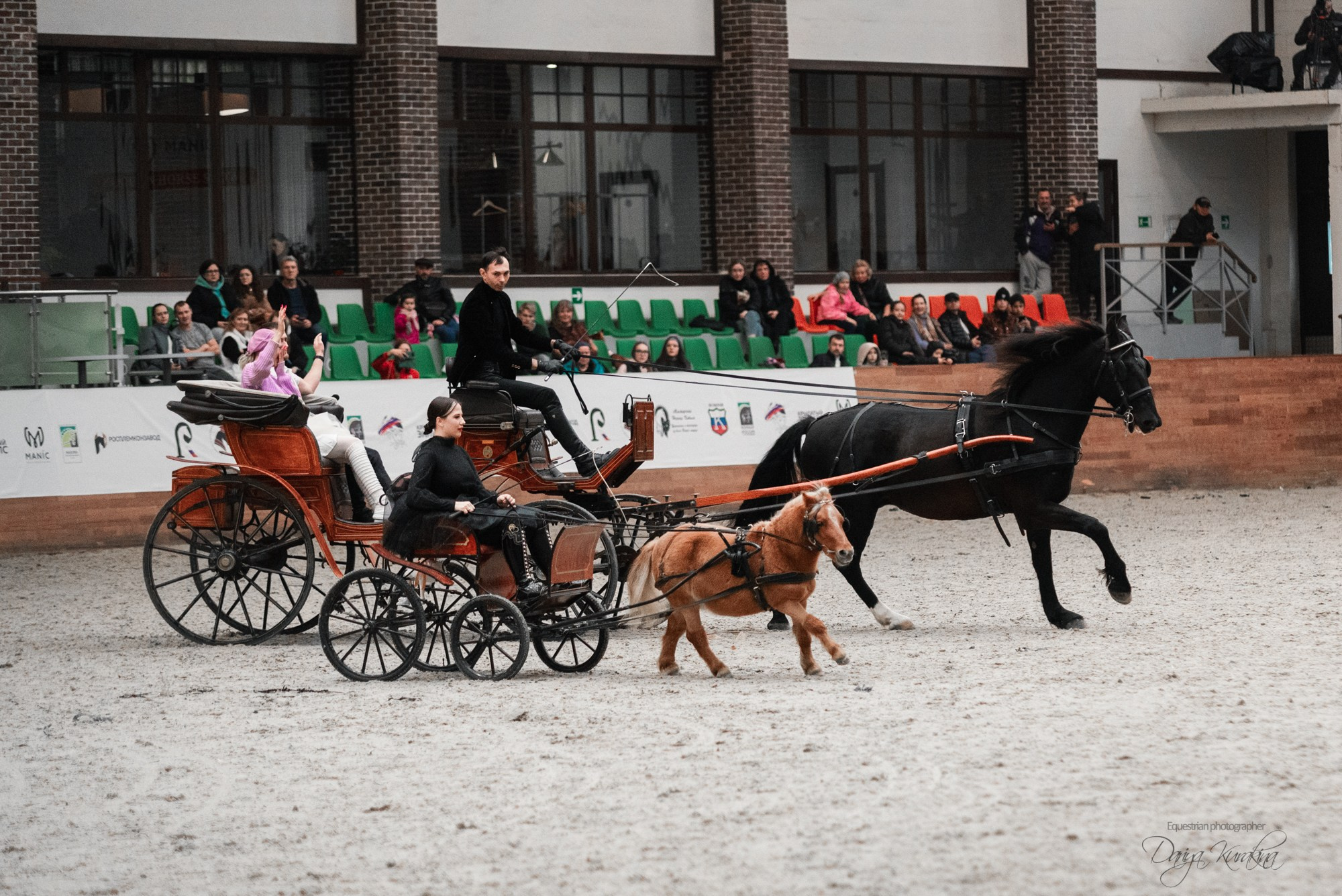 8-я международная выставка Конная Россия. Конный фотограф Куракина Дарья • Фотосессии с лошадьми