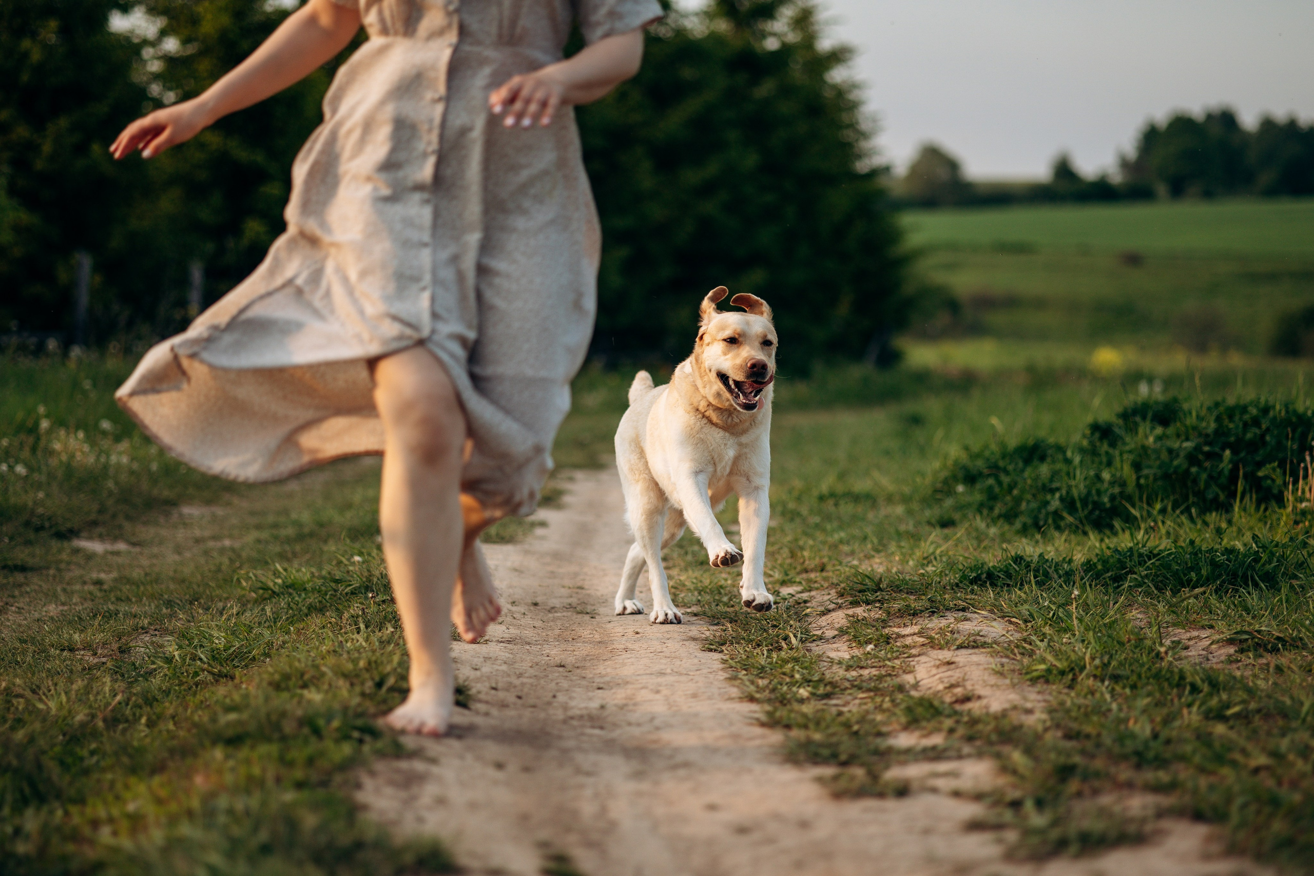 Шани и ее семья. Фотограф — Анималист | Санкт-Петербург