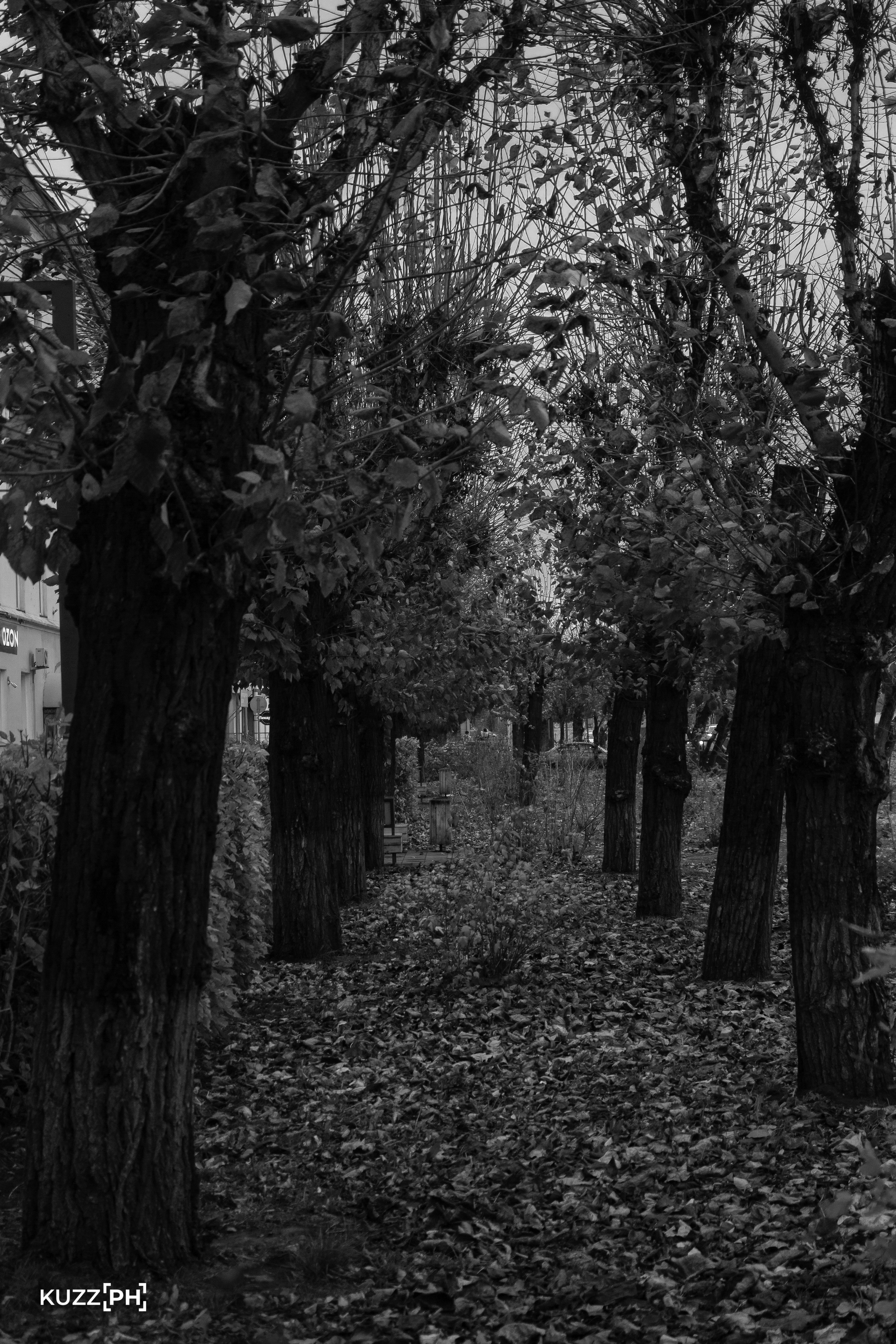 23.10.2023 | Красноярск. Kuznetsov | Фотограф в Красноярске