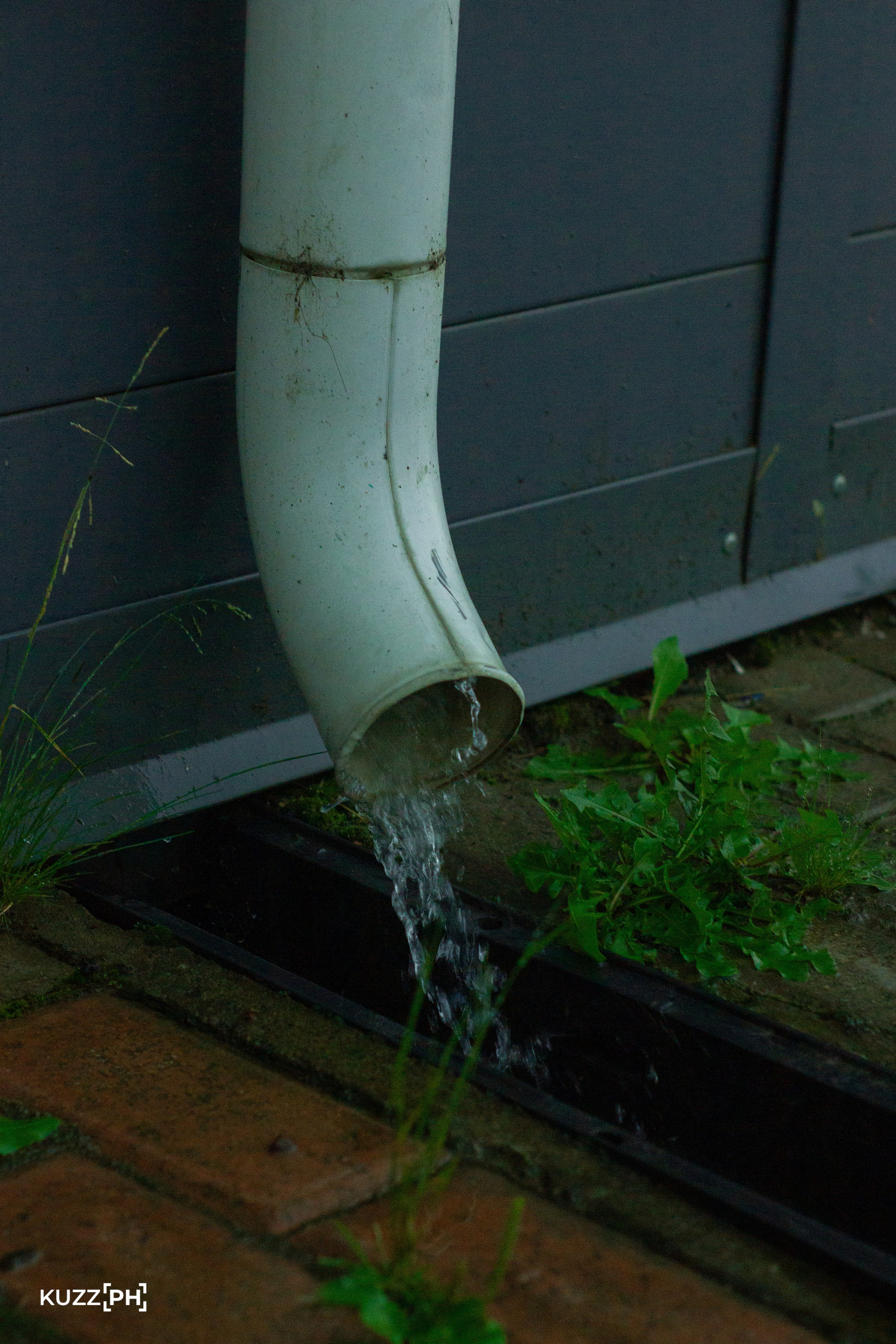 11.08.2024 | Сосновоборск. Kuznetsov | Фотограф в Красноярске