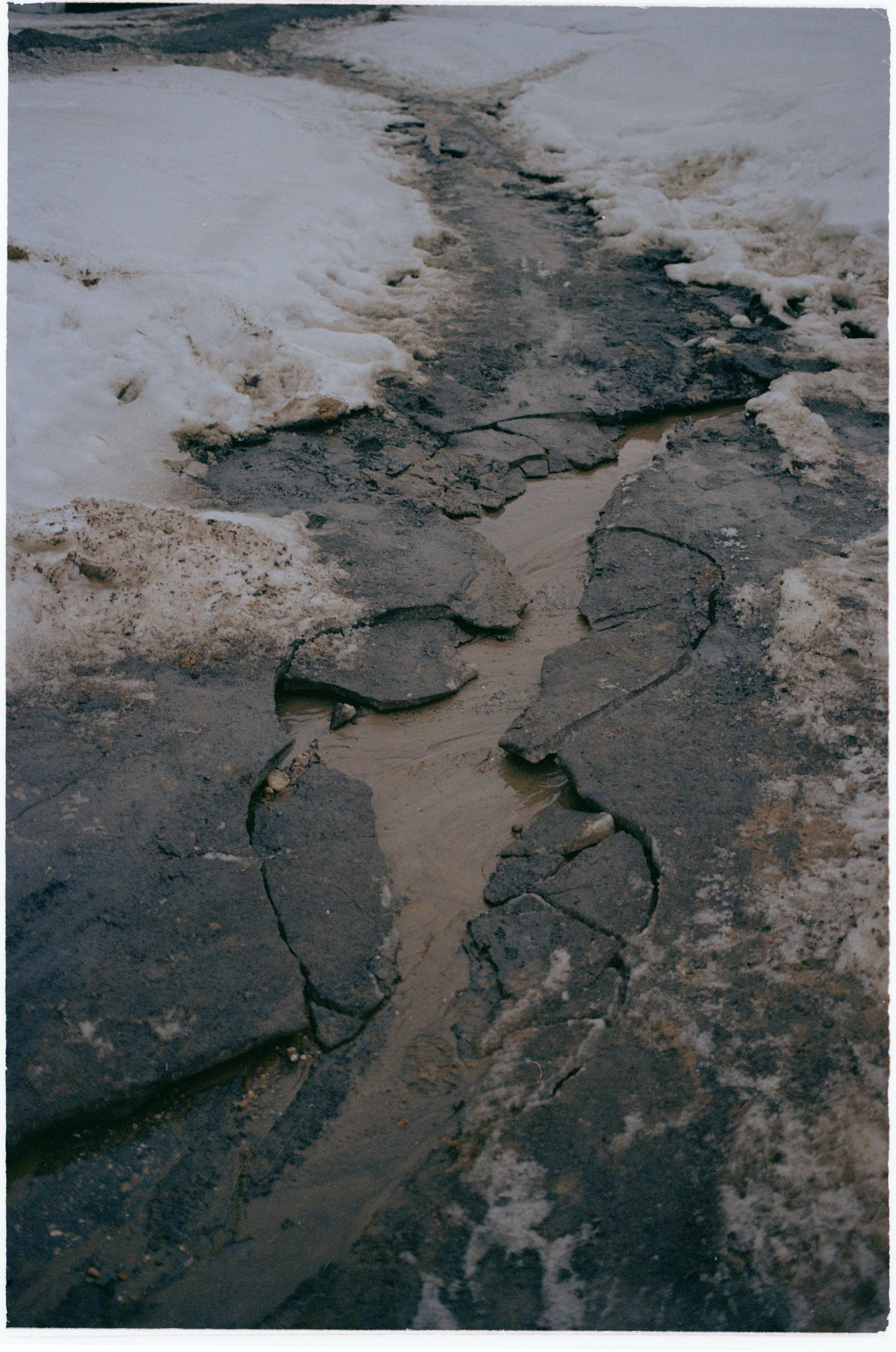 Tim. Илья Симонов фотограф москва