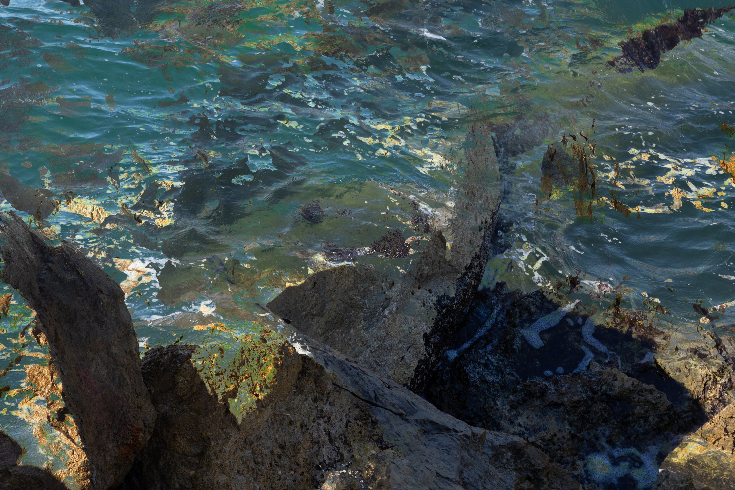 Точка сборки | The assembly point. Фотограф алина стерхова, алина стерхова фотограф, фотограф москва