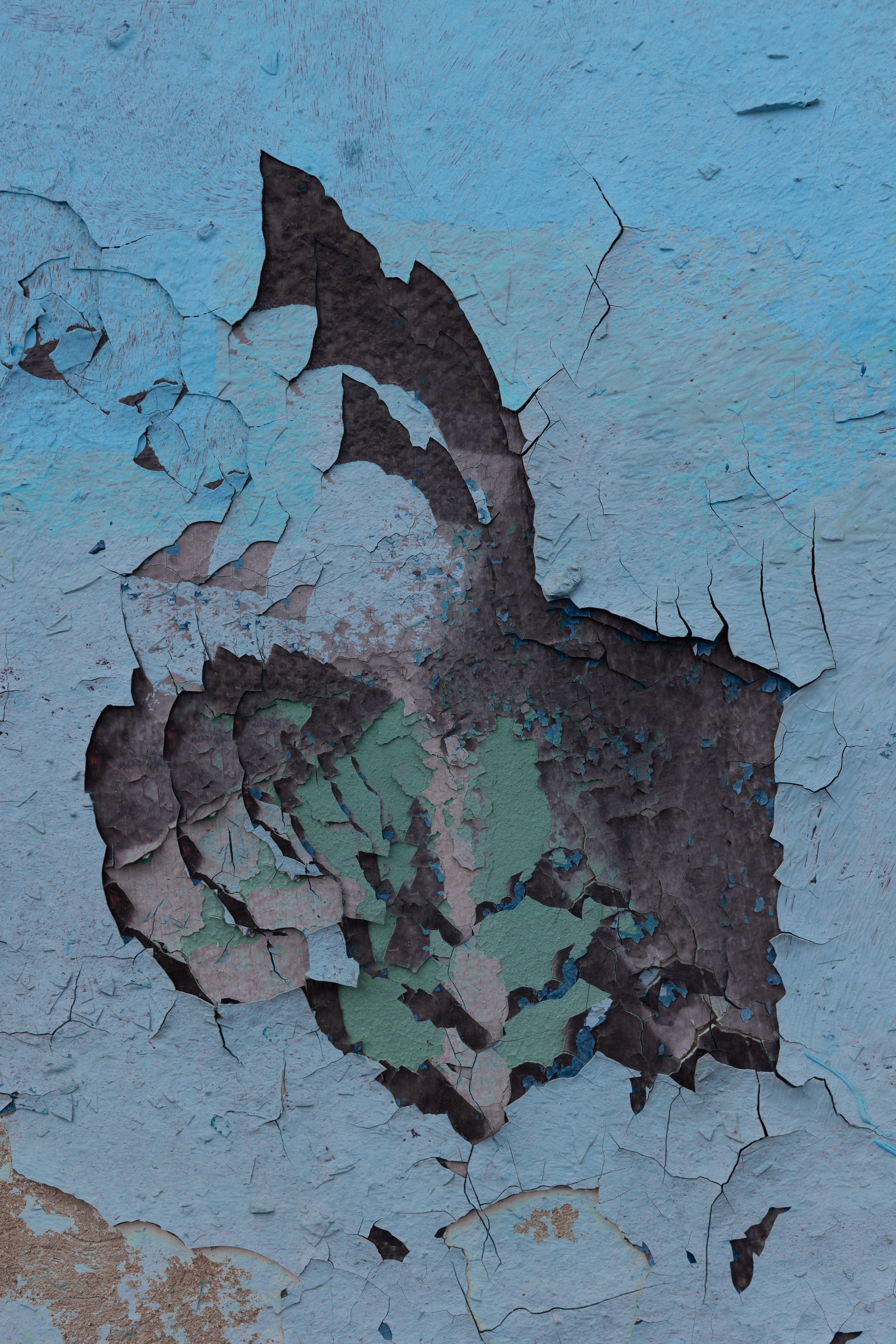 Art prints. Фотограф алина стерхова, алина стерхова фотограф, фотограф москва