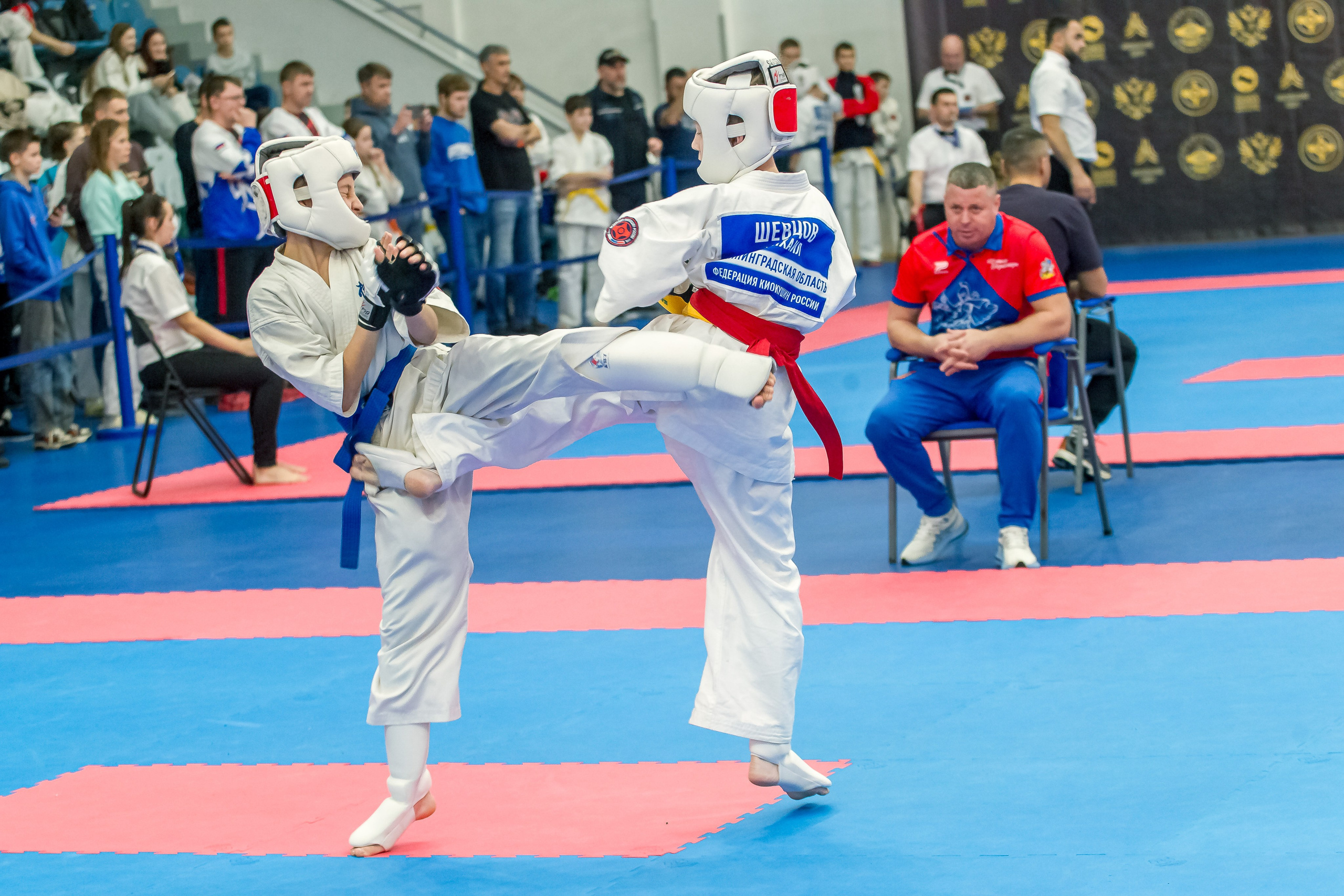 Соревнования по Киокушин памяти С. Увицкого. Репортажная съемка в Москве и области. Анималистика