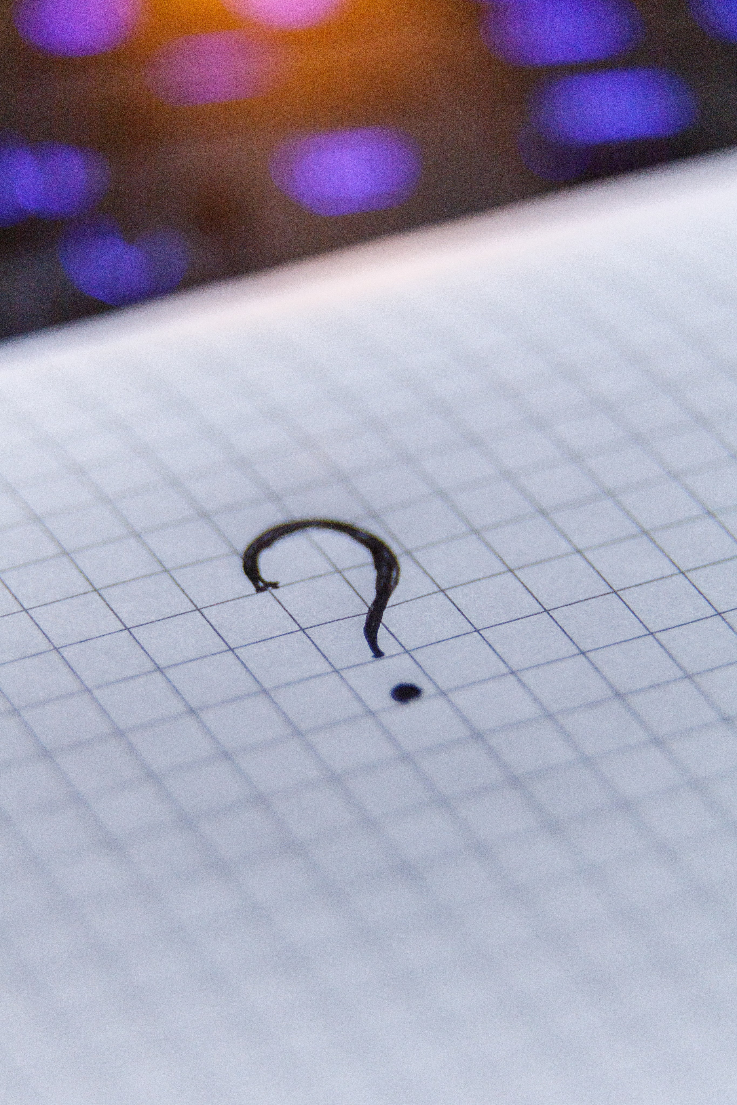 Проект «366»|2024|Фото каждый день. LENA GRACE photographer ||ЛЕНА ГРЭЙС фотограф