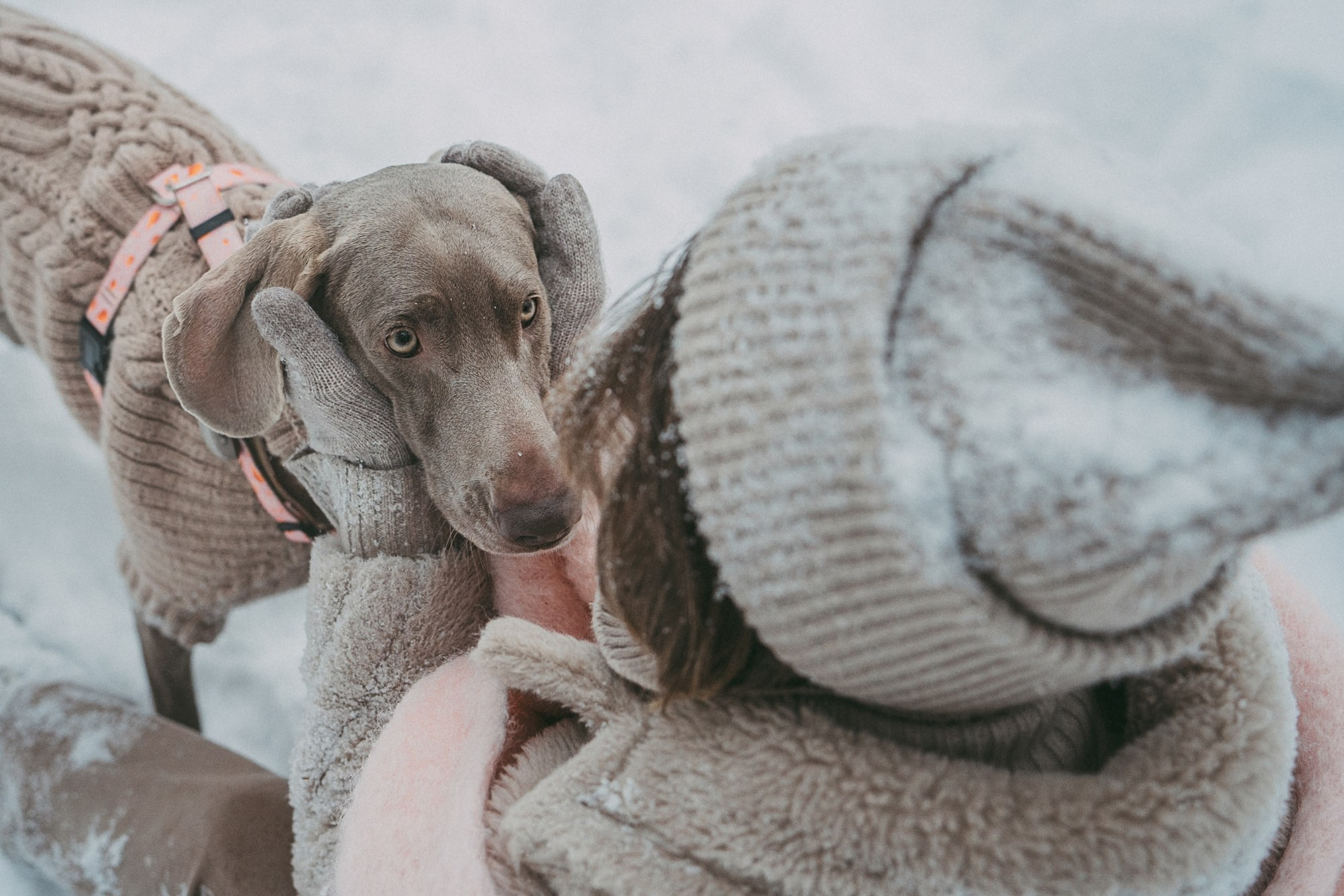 Лена и Фанни. Фотограф анималист в Москве и Санкт-Петербурге Свиридова Анна
