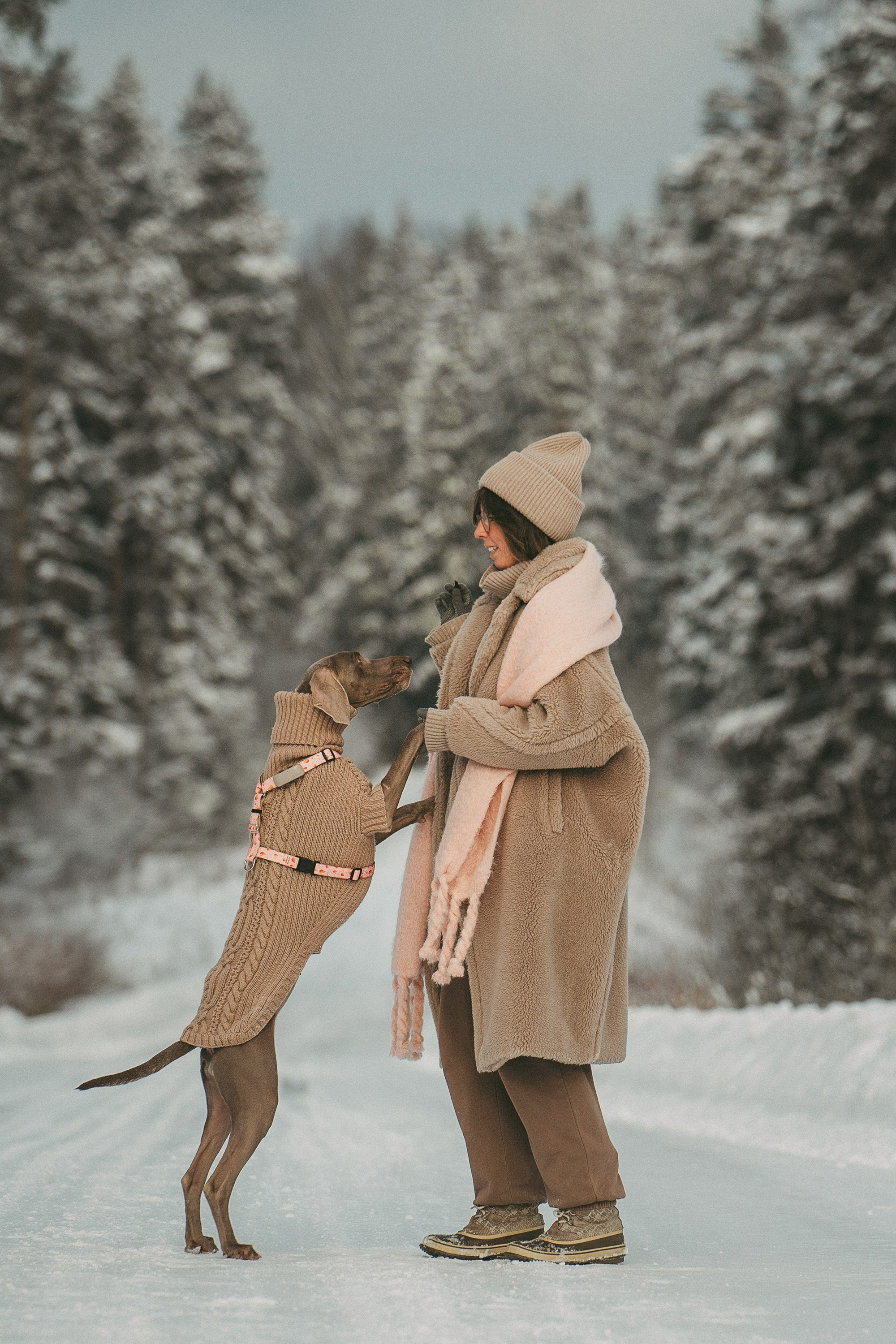 Лена и Фанни. Фотограф анималист в Москве и Санкт-Петербурге Свиридова Анна