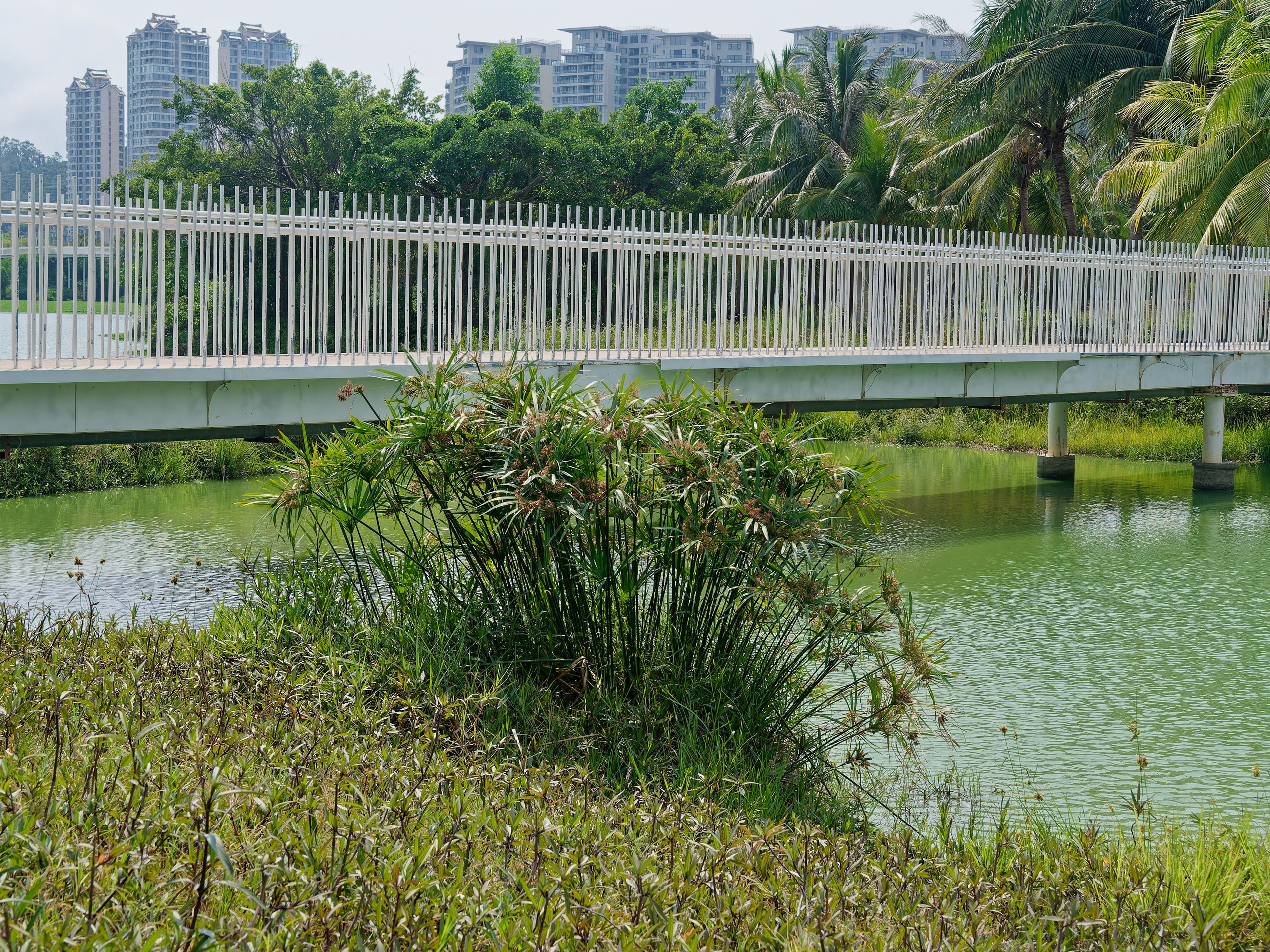 Хайнань 2026, Санья, Торговый центр «Joy City». Фотопрогулки по Миру