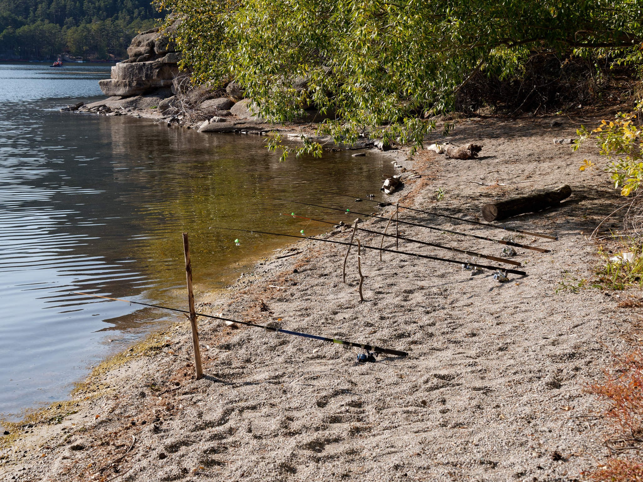 Боровое 2022 (из архива). Избранные фотографии