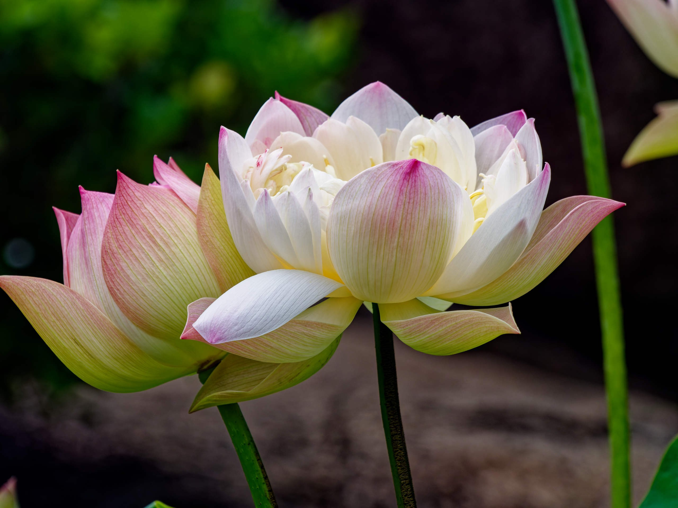 Нячанг 2025 (4). Избранные фотографии