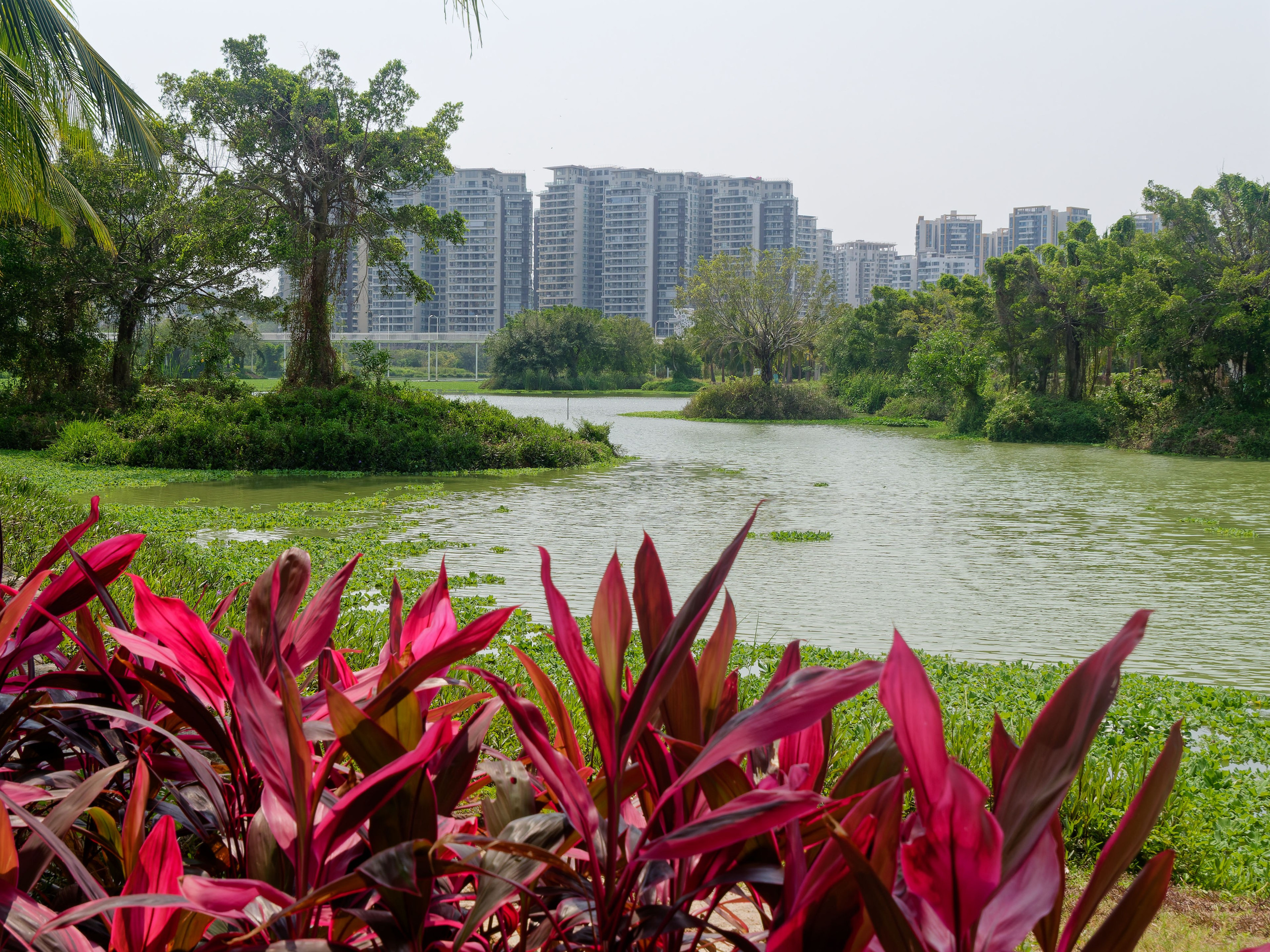 Хайнань 2026, улицы Ялунвань и Саньи. Фотопрогулки по Миру