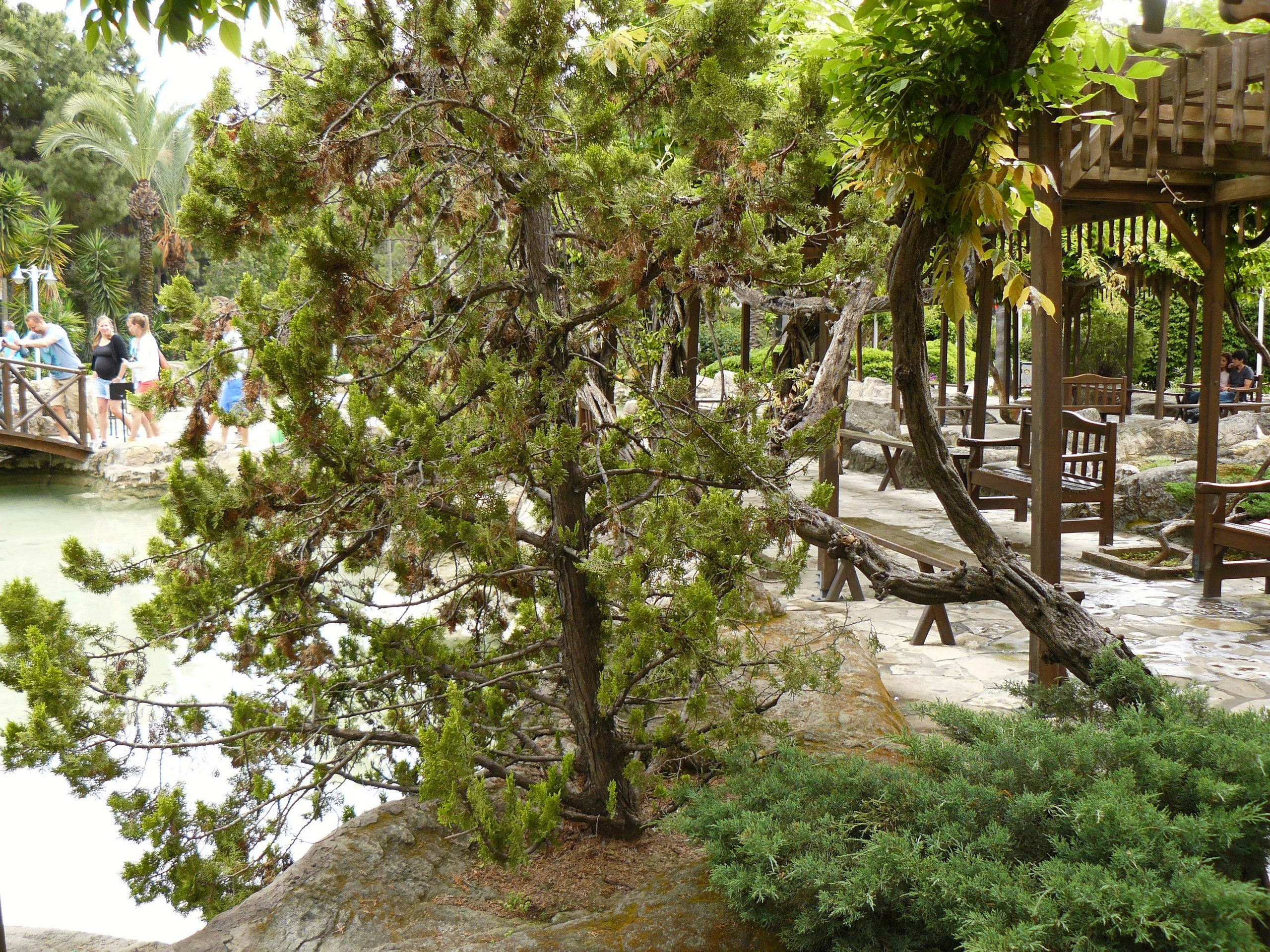 Алания 2014. Фотопрогулки по Миру