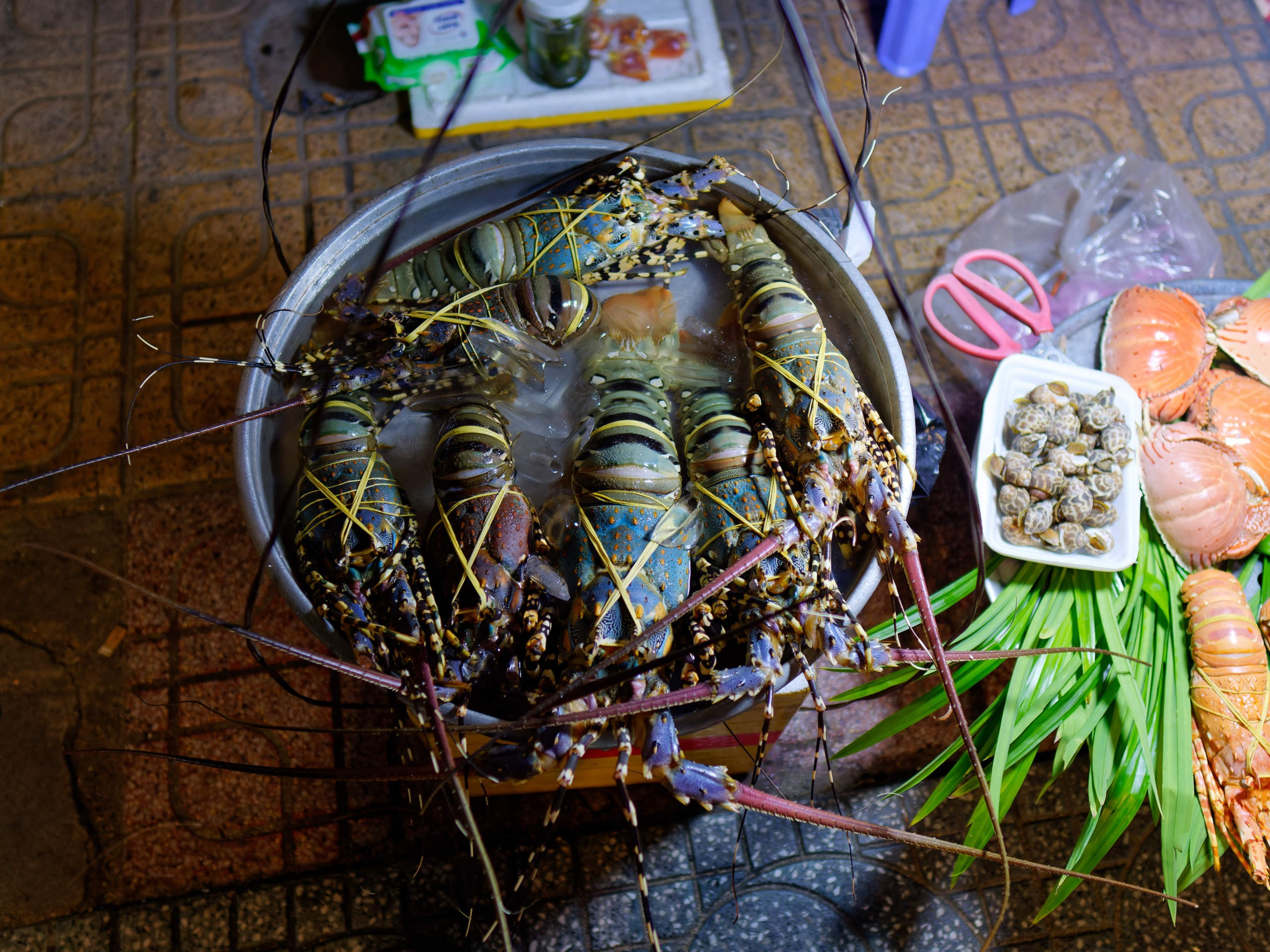 Нячанг 2023. Избранные фотографии