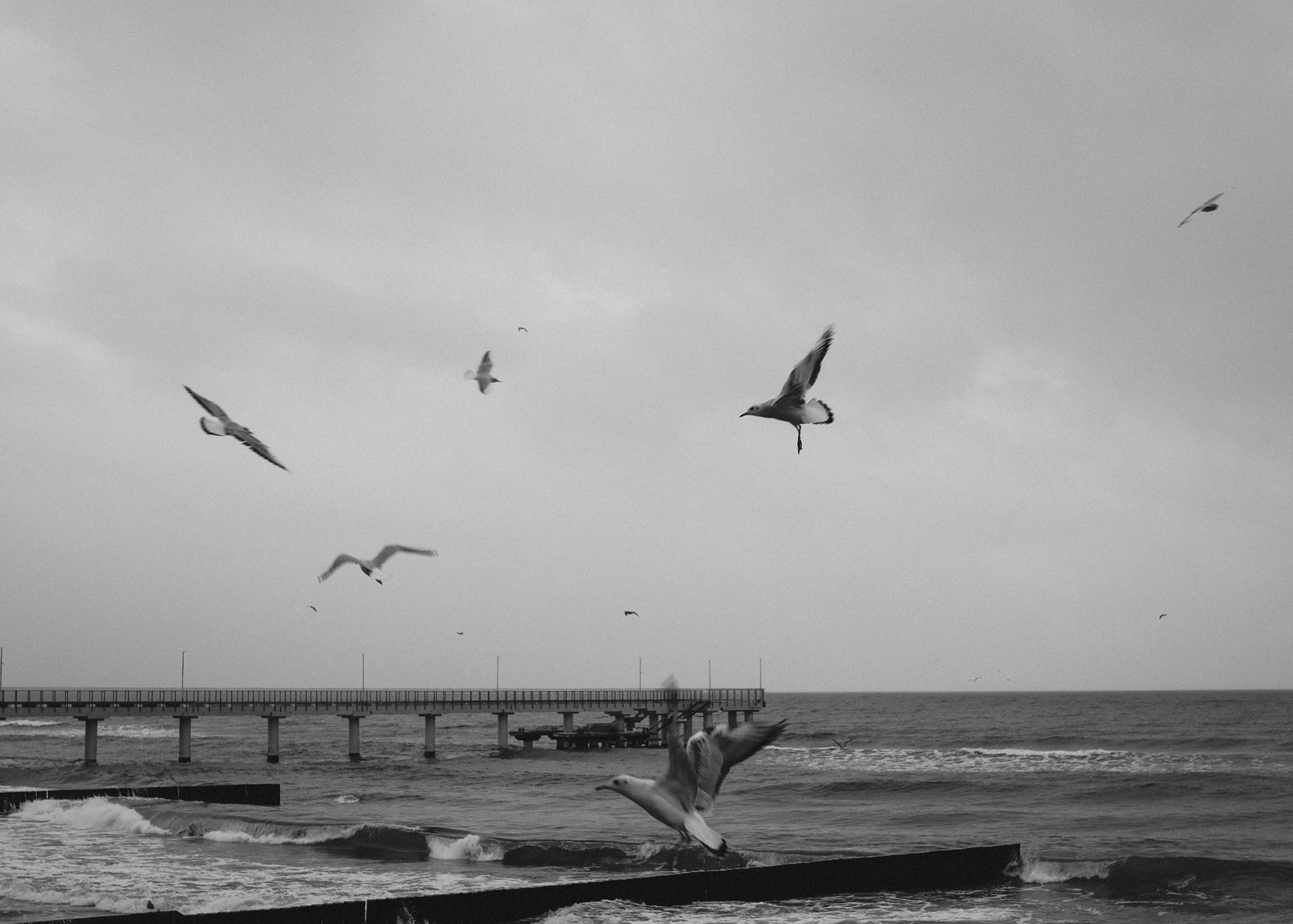 Калининград. Портретный фотограф DanilNabody