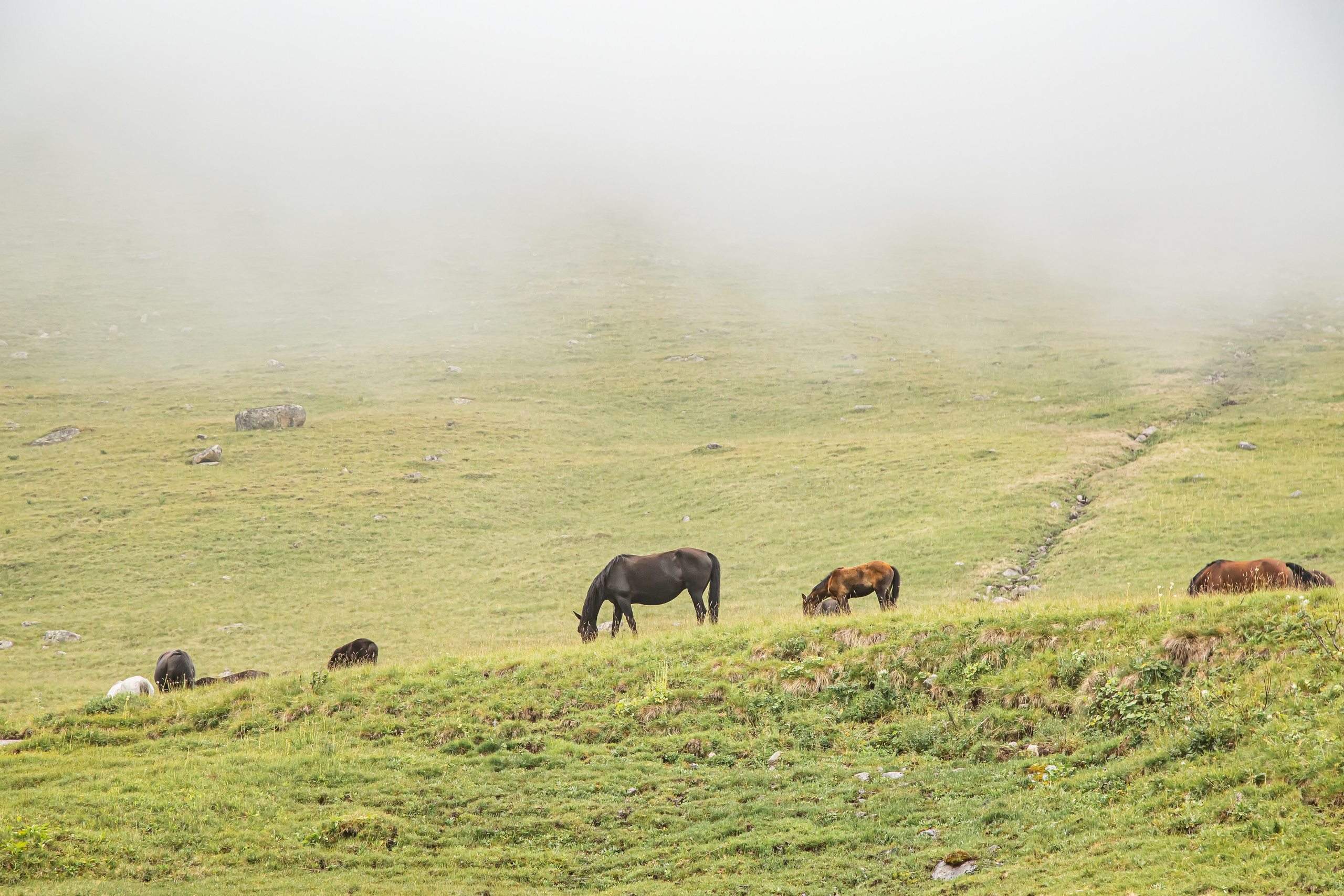 КАВКАЗ. Авторские туры с профессиональным фотографом