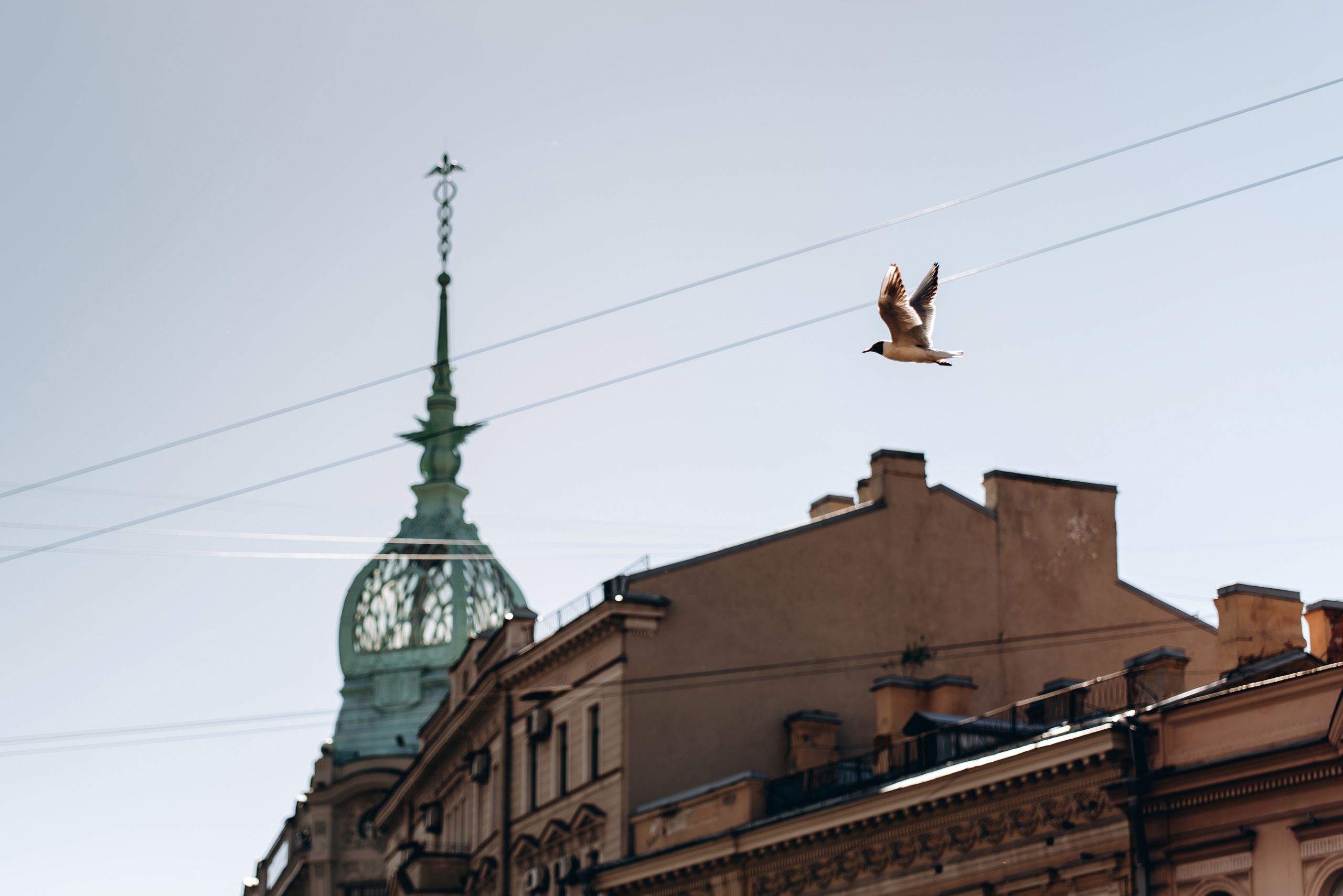 Владимир и Елизавета. Дворец бракосочетания № 1. Зайковский Кирилл