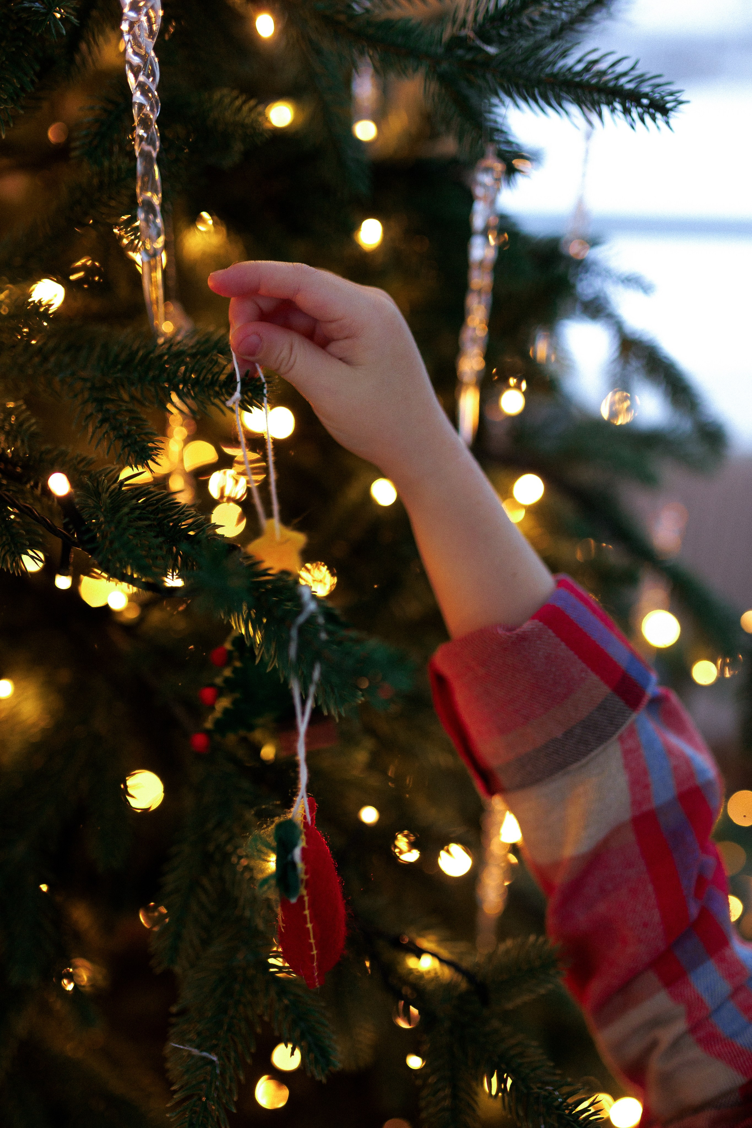 Сергей, Александра, Рита и Миша. Новогоднее. Настя Оленченко, портретный/семейный фотограф на цифру и плёнку Москва