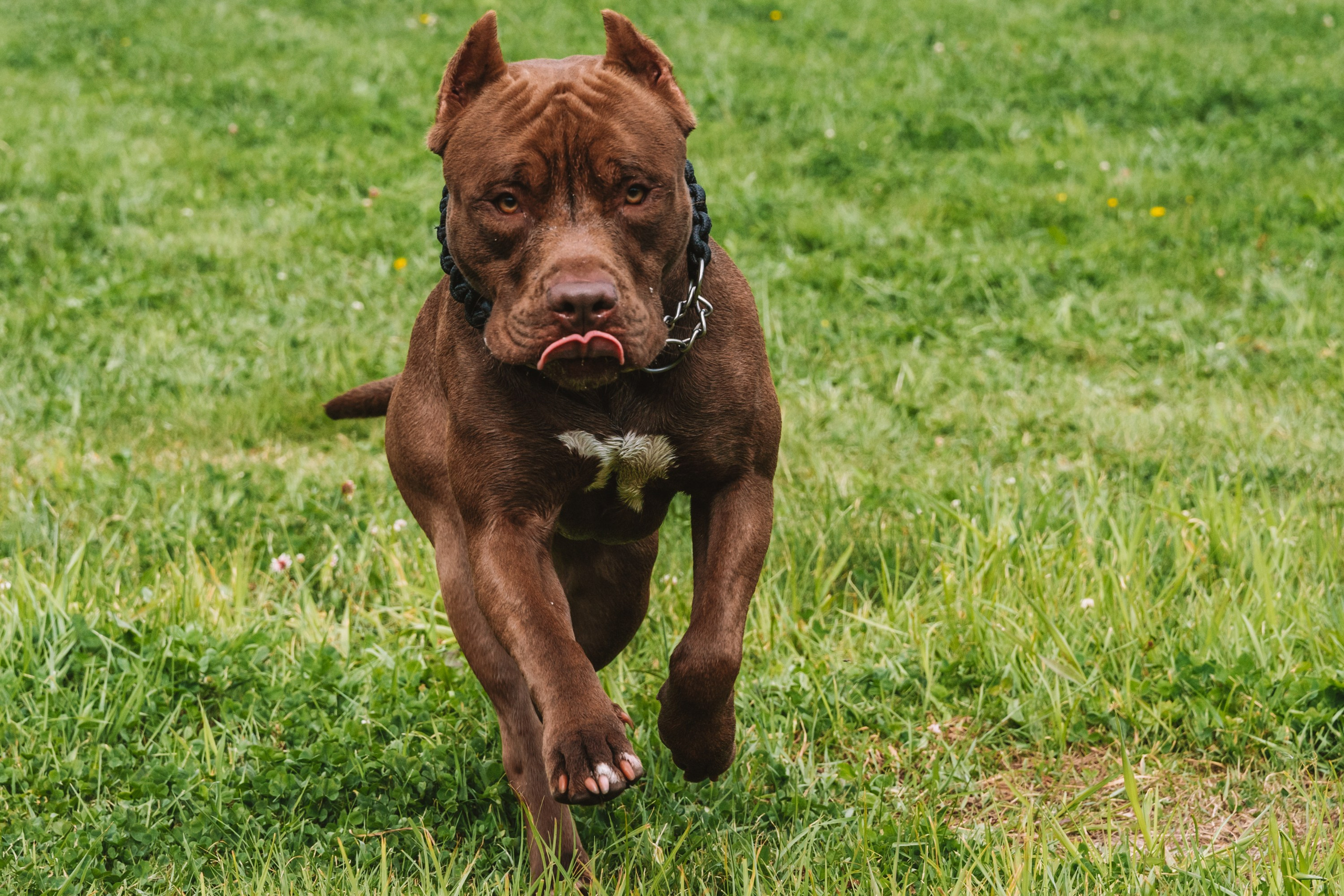 Лав стори фотограф Санкт-Петербург. Свадебный, семейный, портретный, репортажный фотограф в Санкт-Петербурге